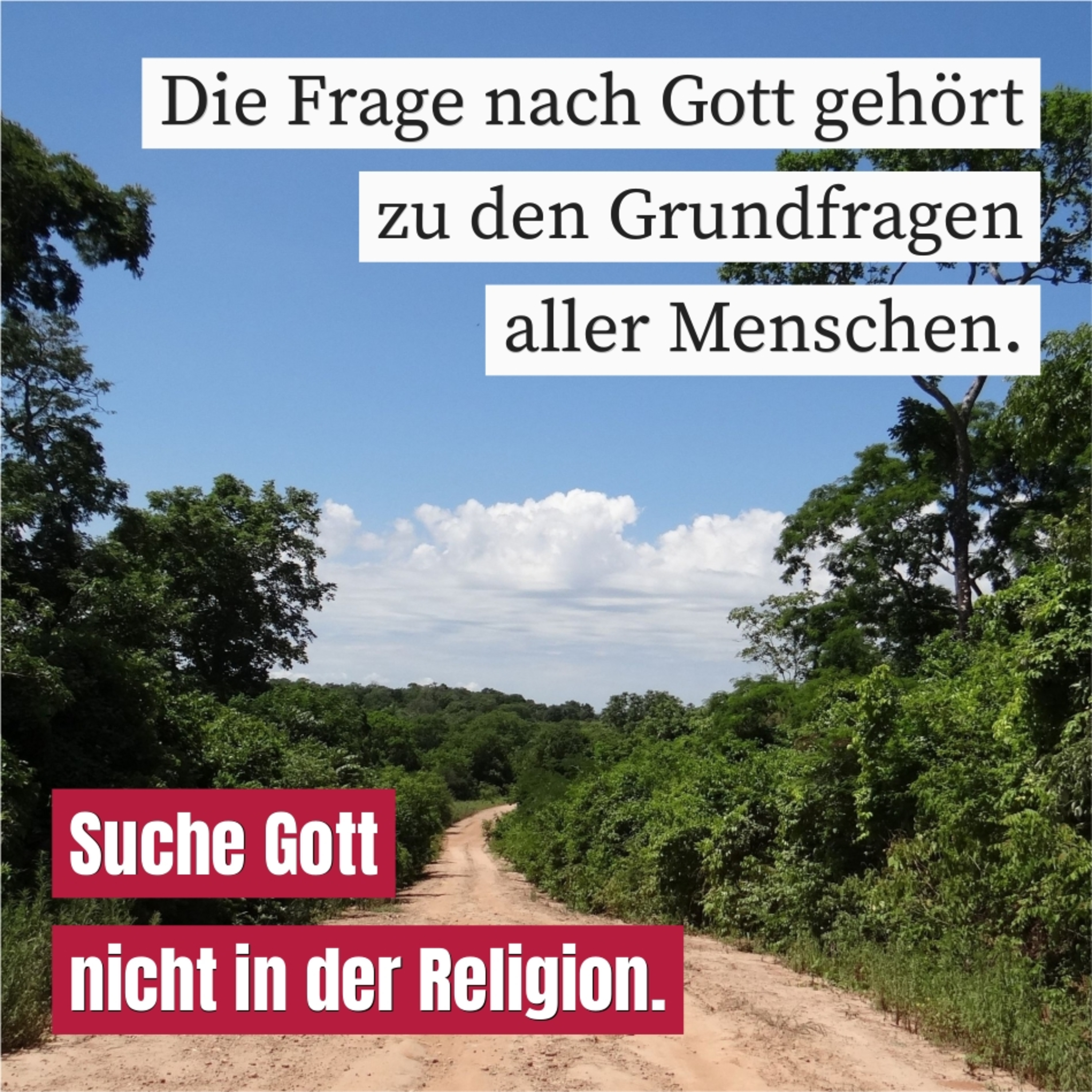 Der suchende Mensch episode artwork