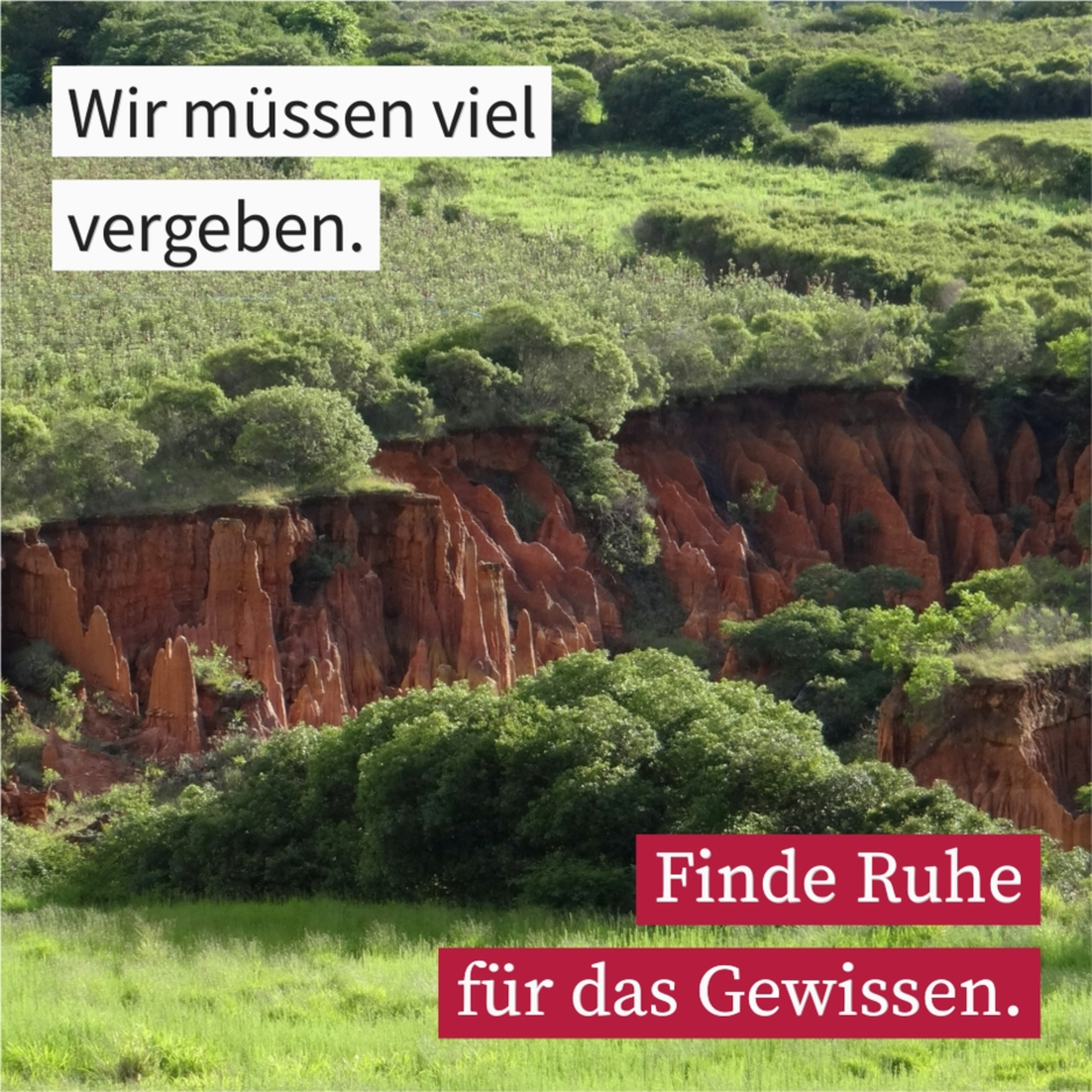 Die Kraft der Vergebung episode artwork