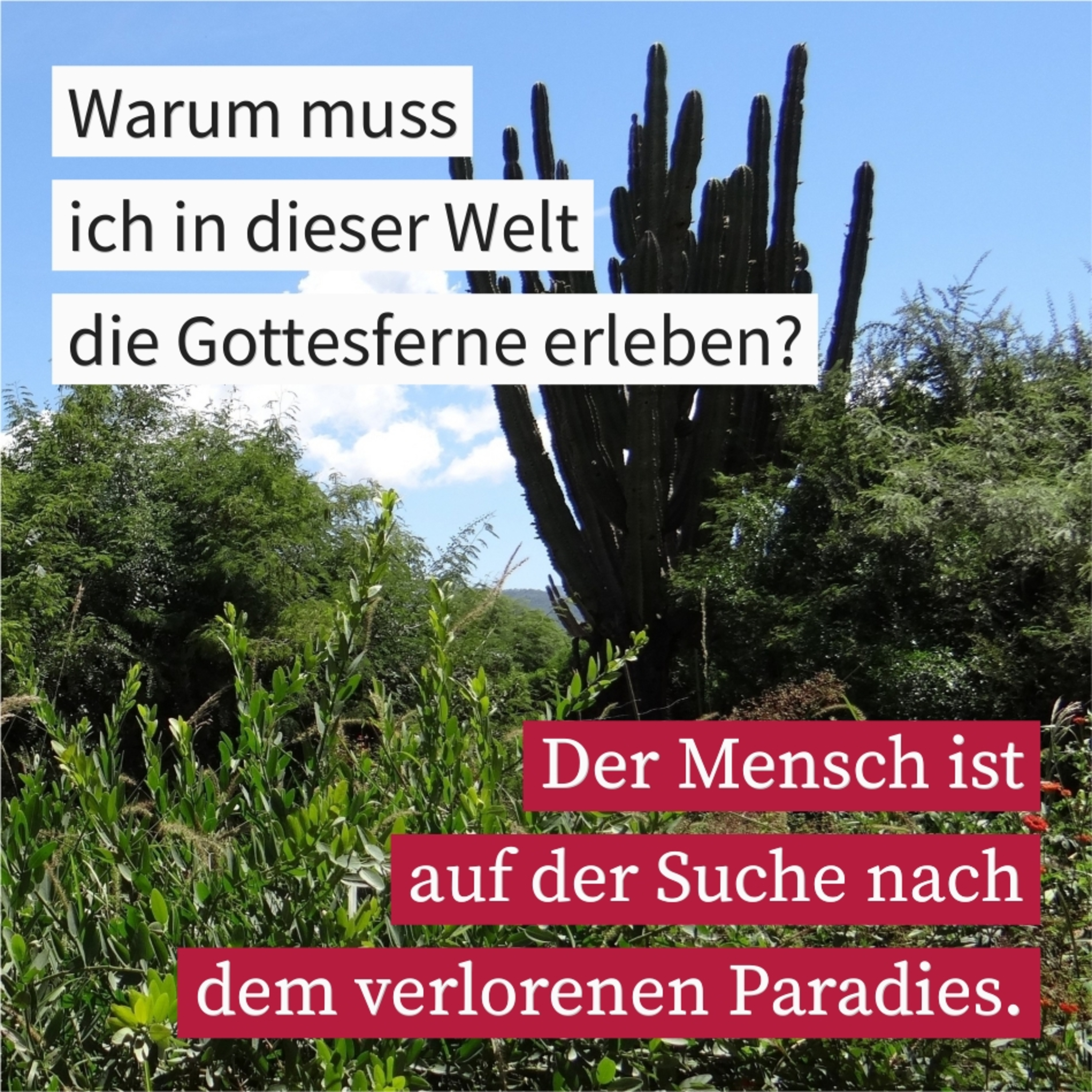 Der wahre Zweck der Wildernis episode artwork