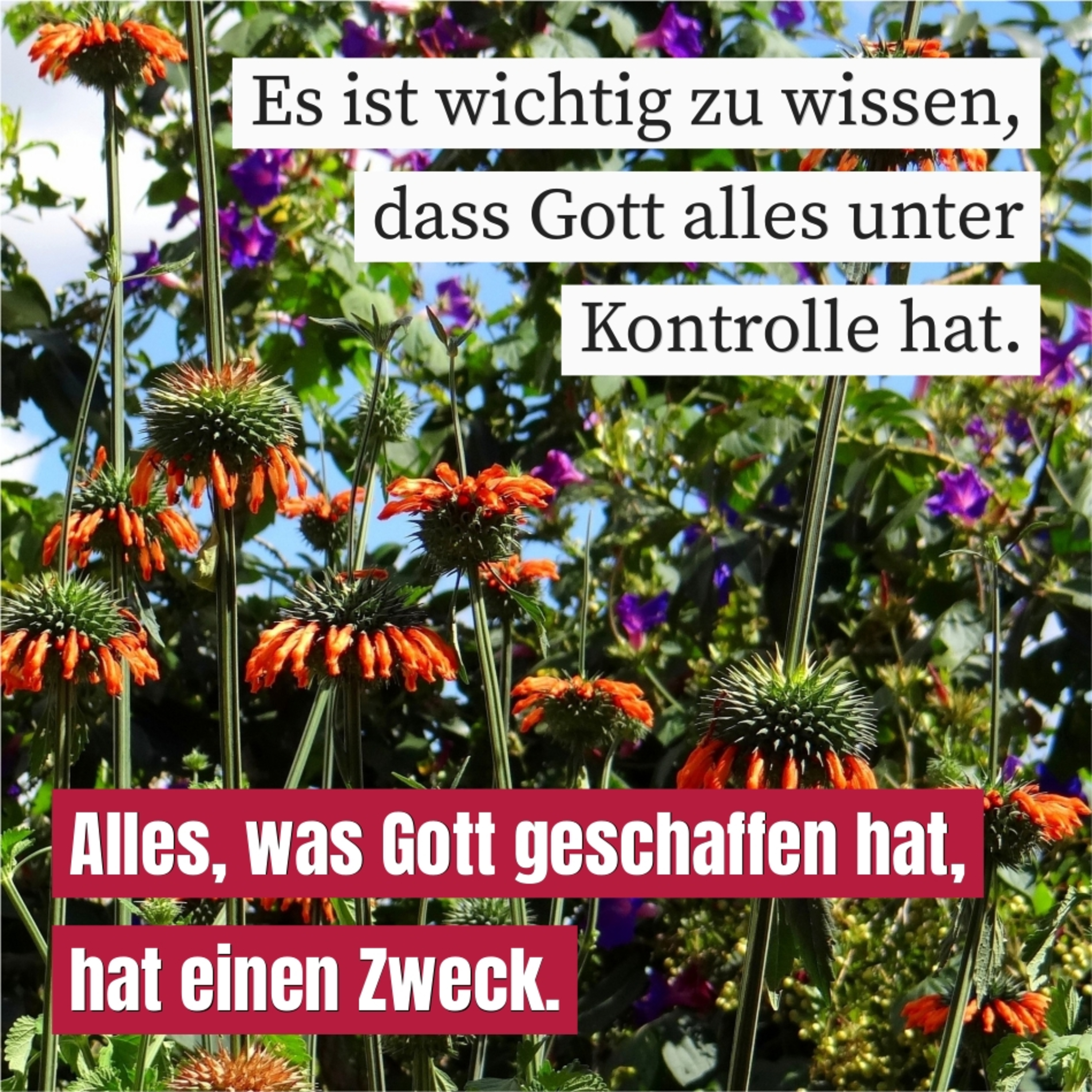 Die Regierung Gottes episode artwork