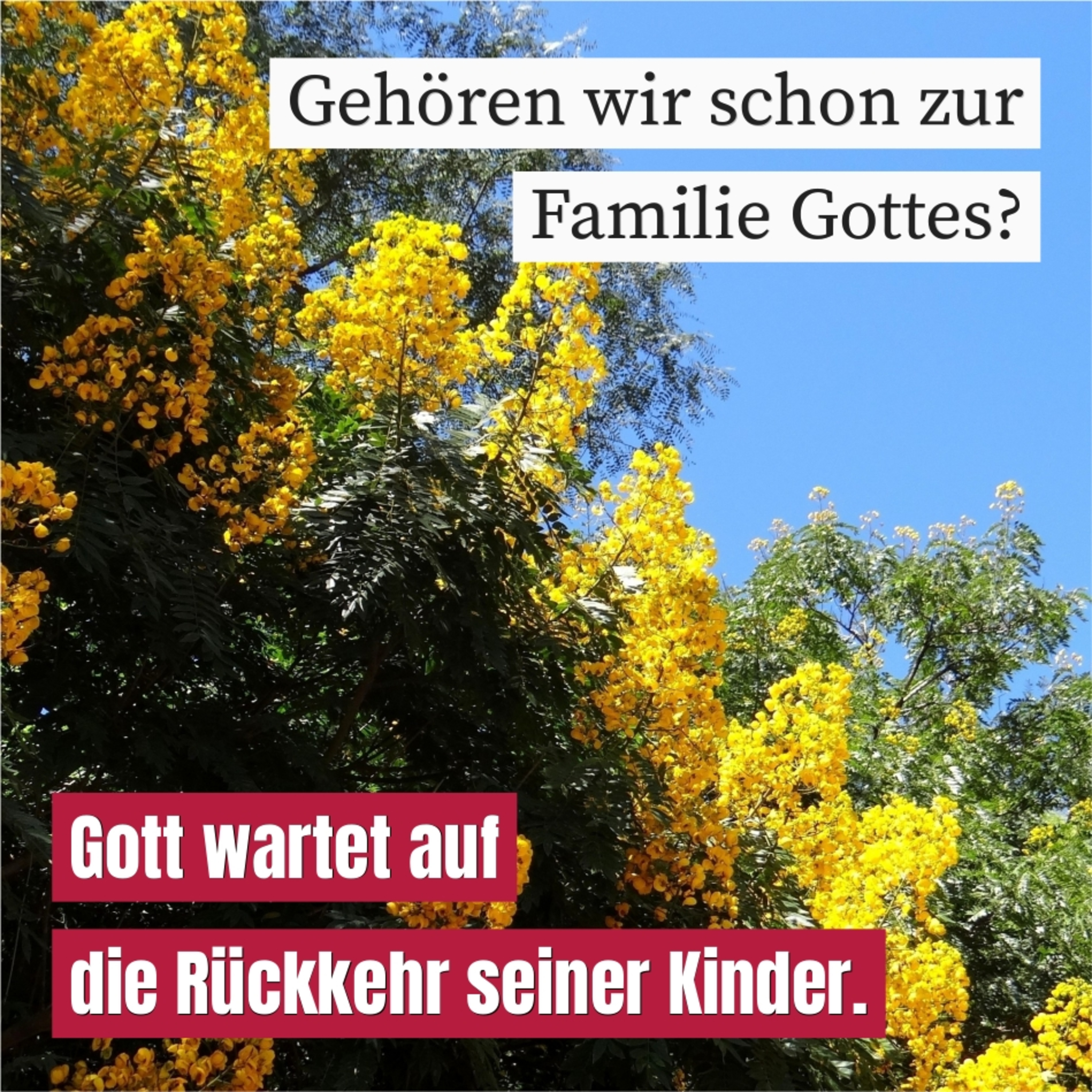 Die Familie Gottes episode artwork