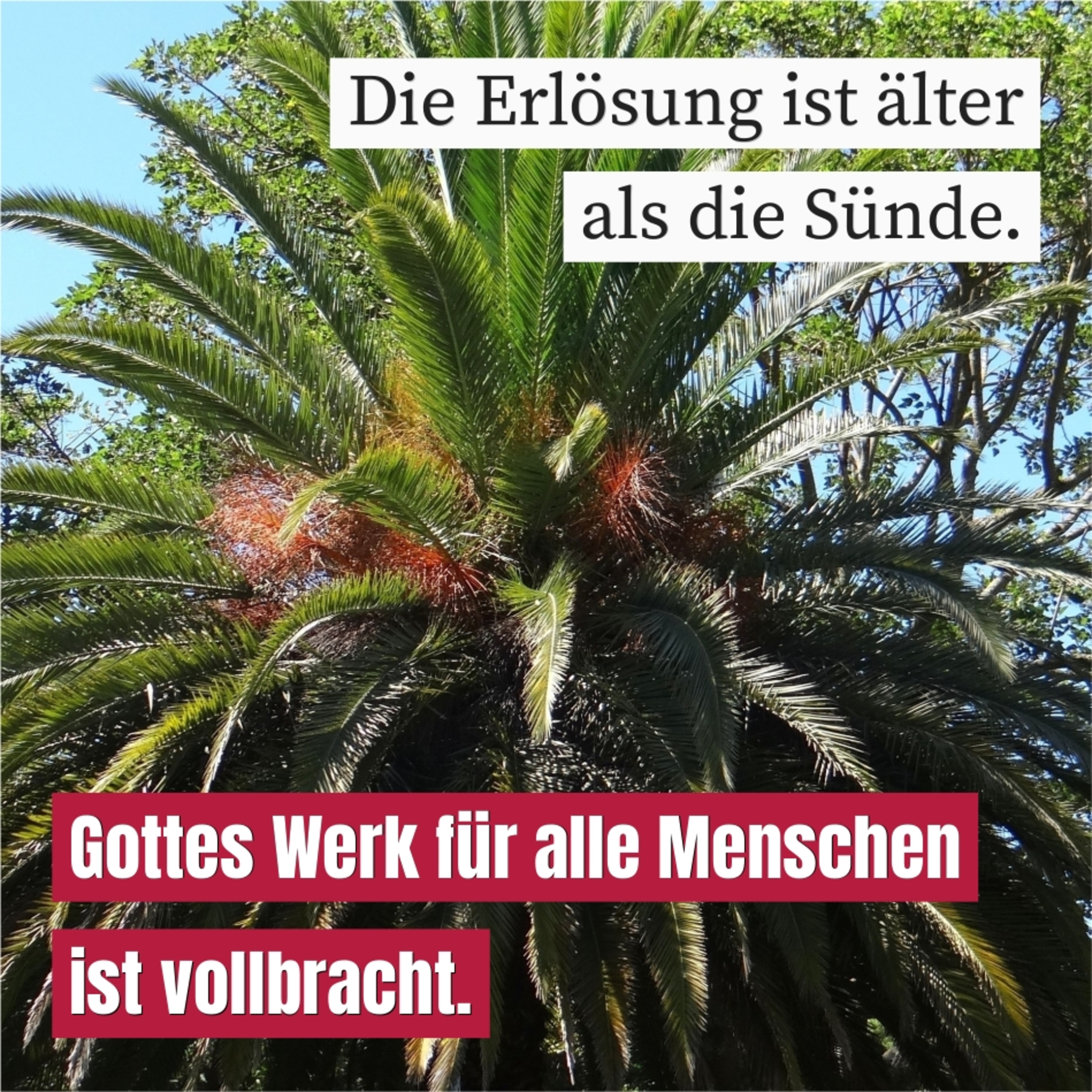 Jesus kommt nach Jerusalem episode artwork