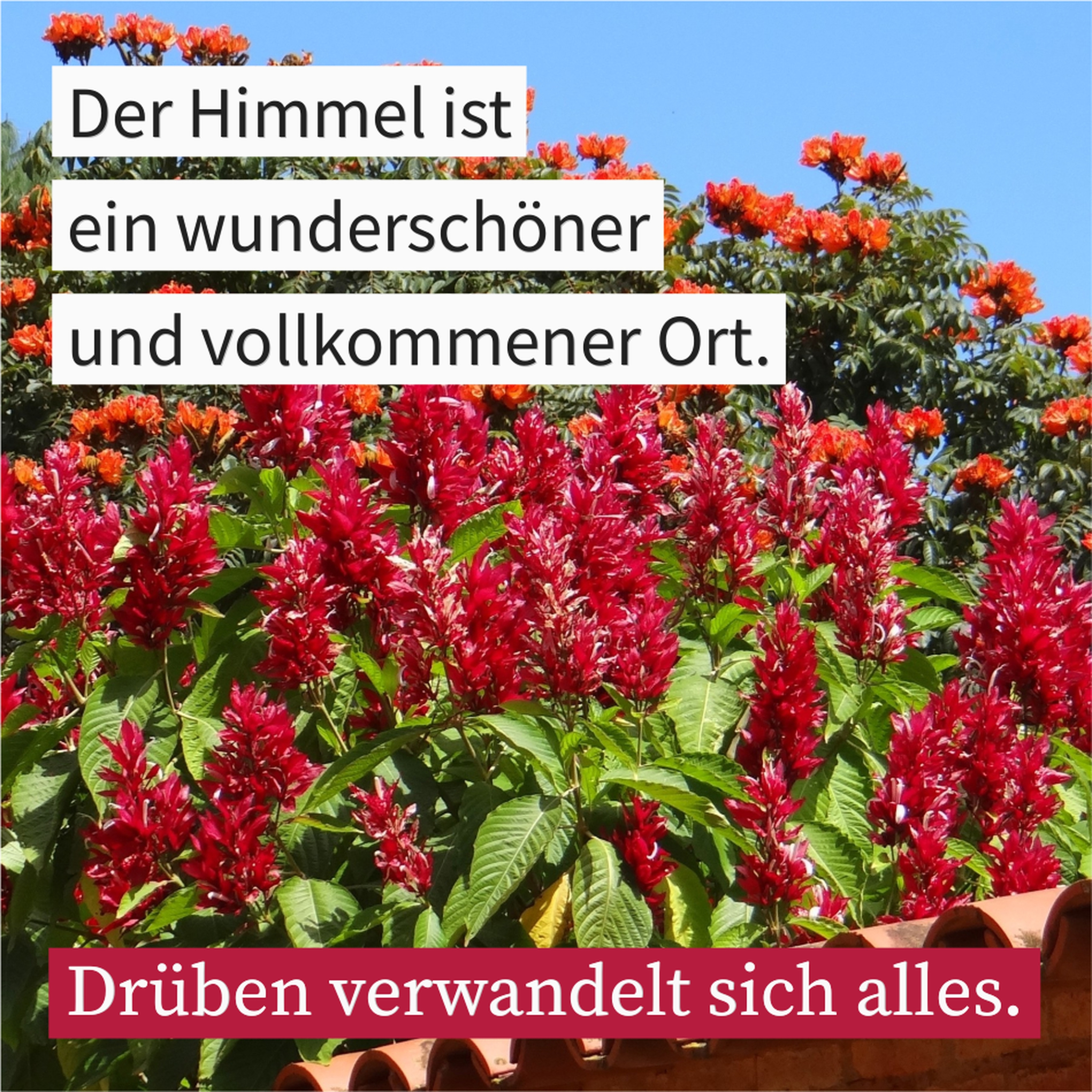 Was erwartet die Überwinder? episode artwork
