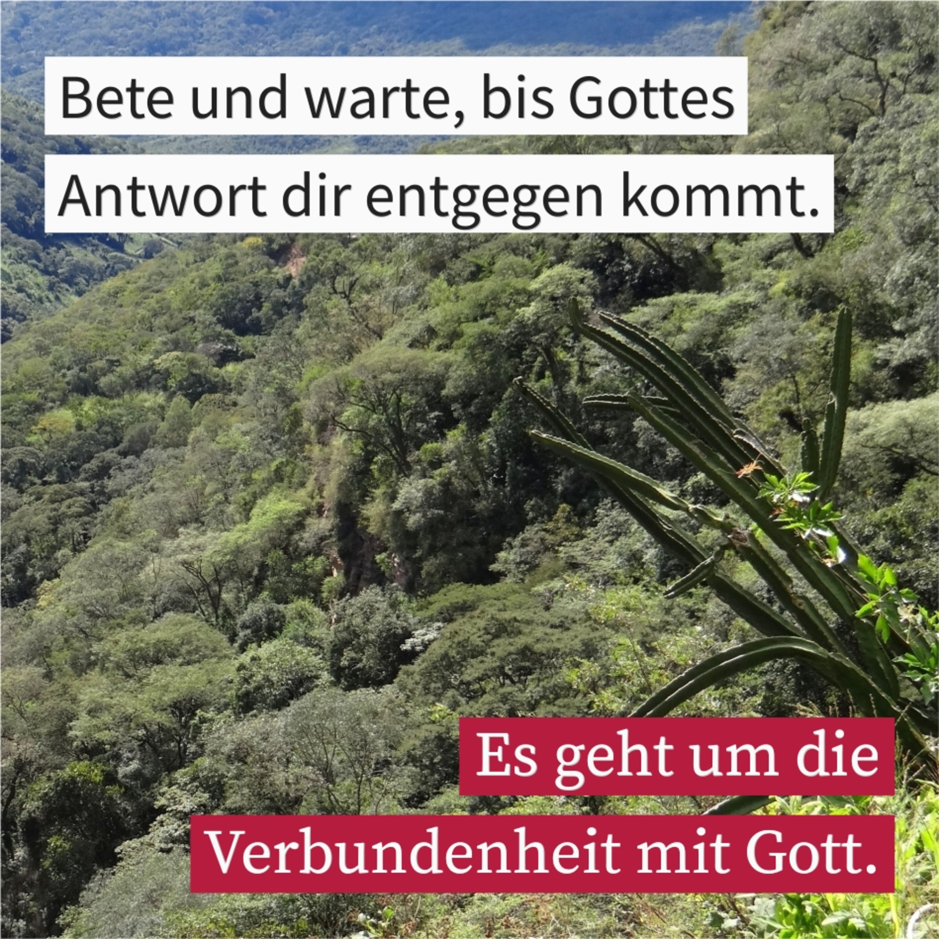 Wo betet man? (2) episode artwork