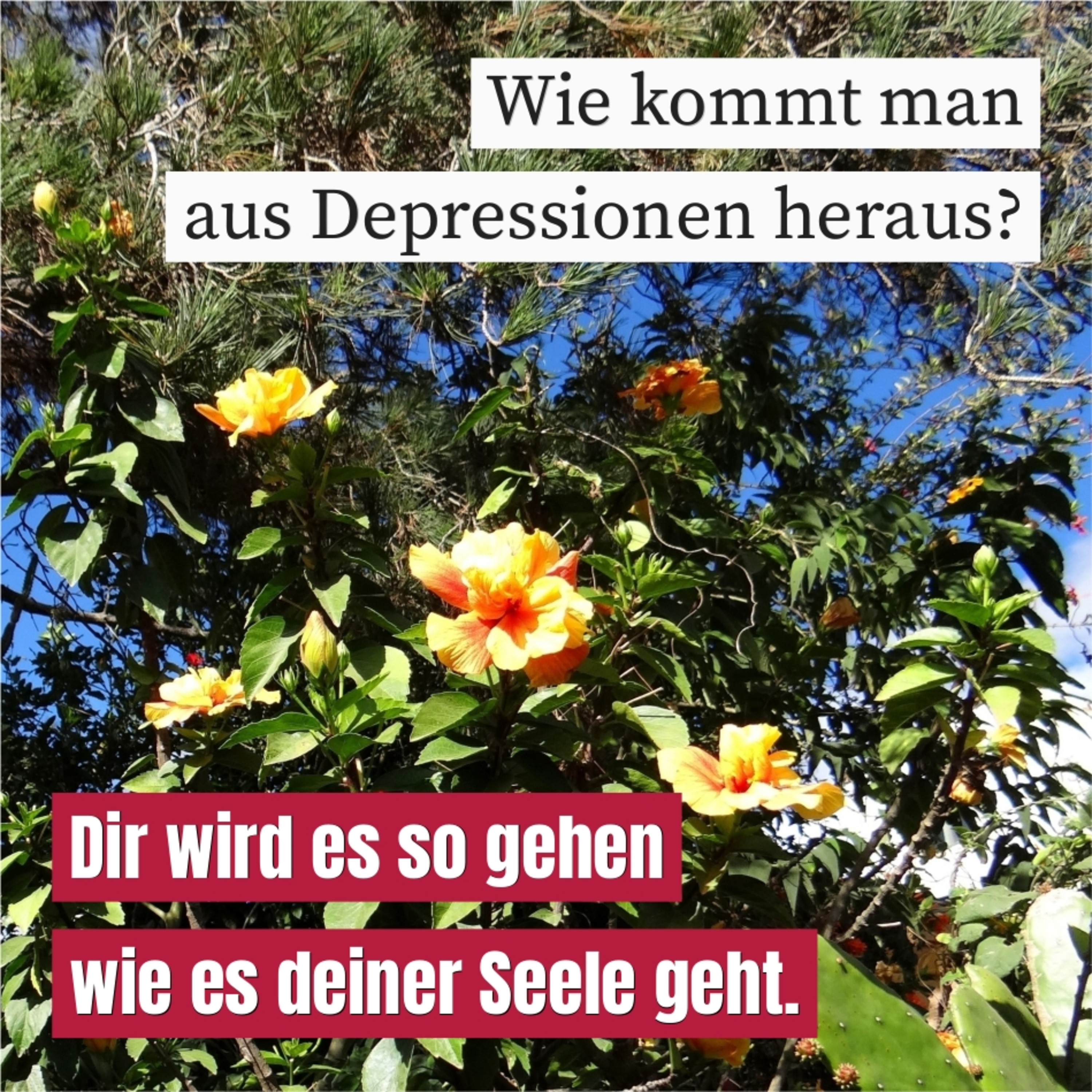 Heilung für betrübte Seelen episode artwork