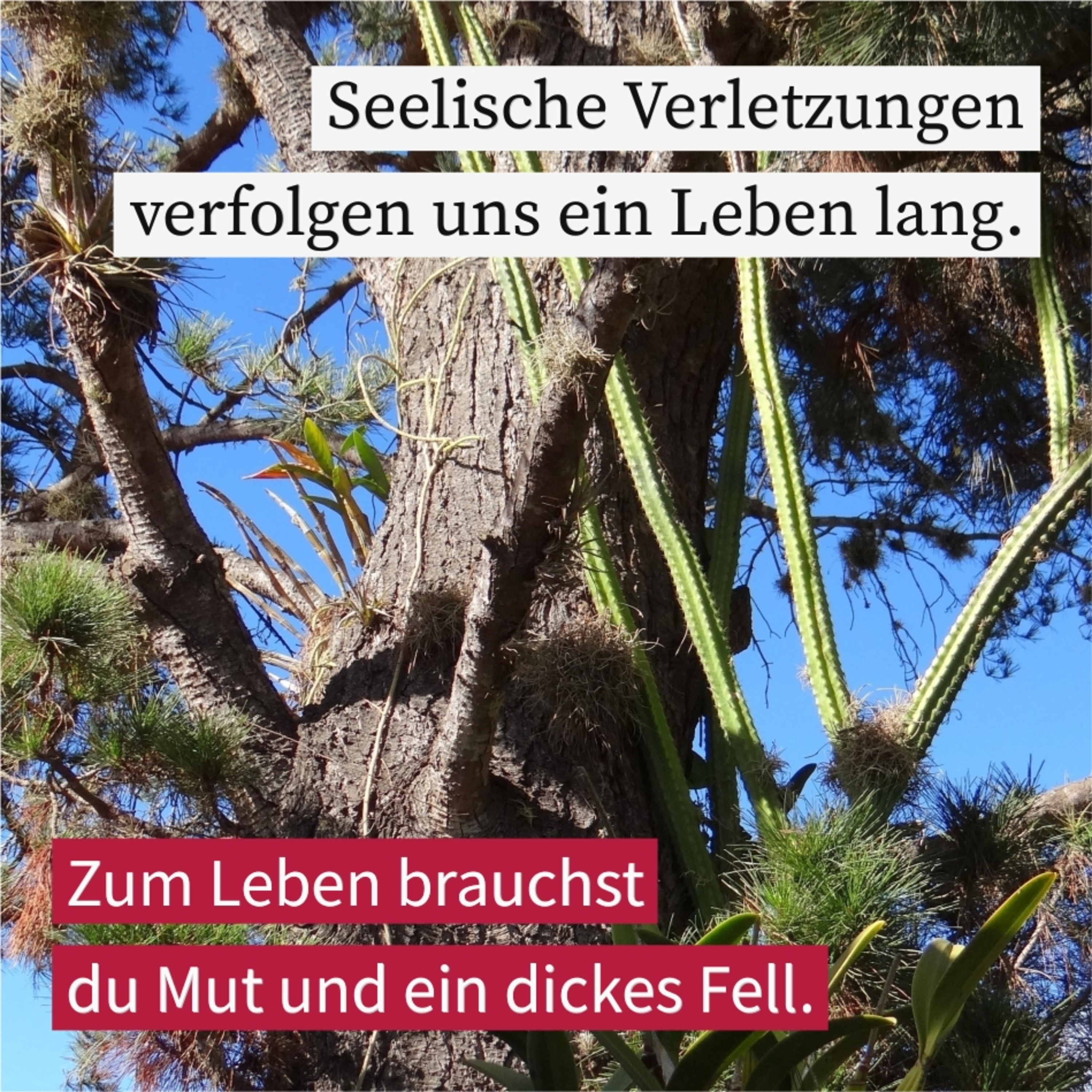 Erlösung von Kränkungen episode artwork