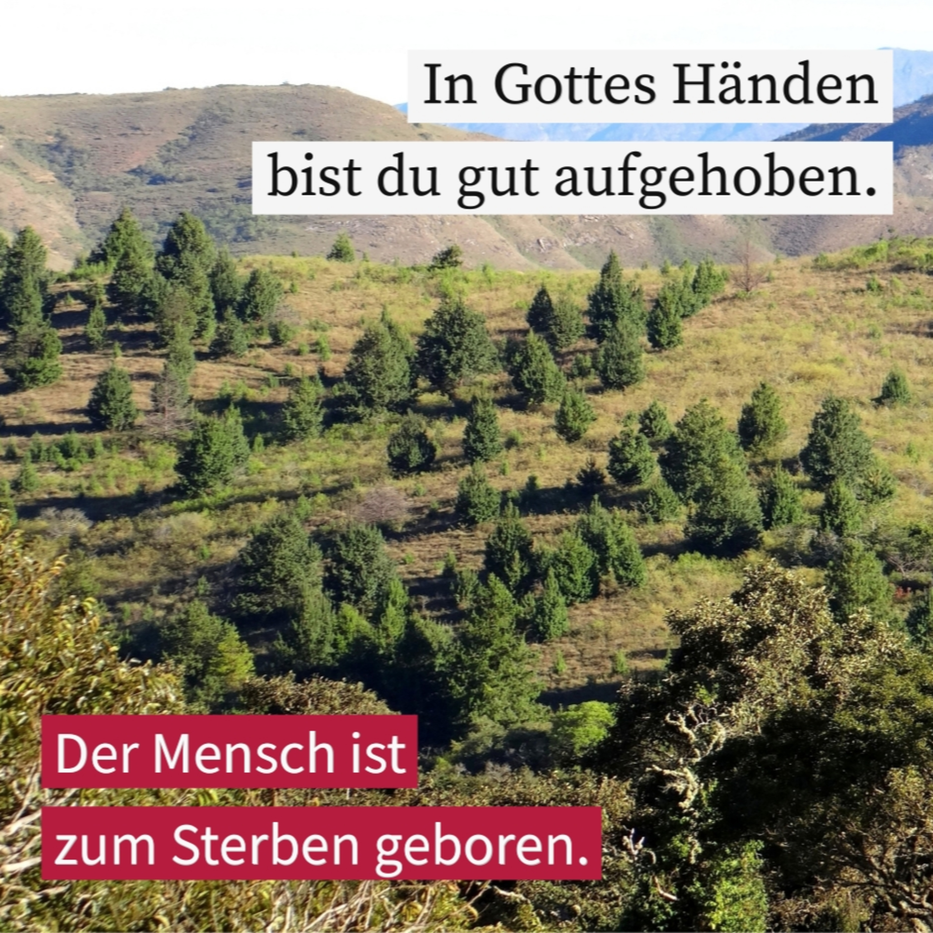 Das geheilte Herz episode artwork