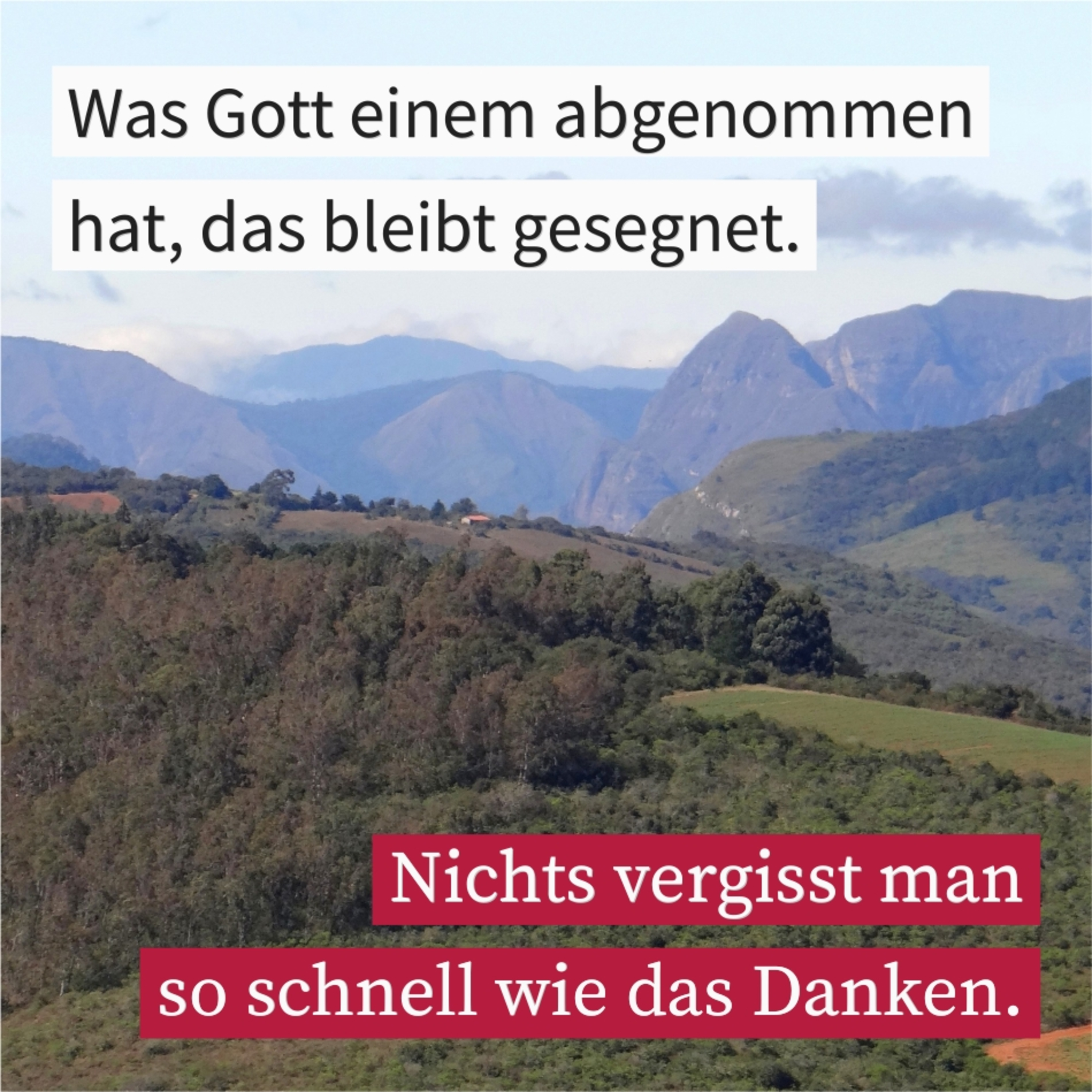 Erneuere dein Gelübde episode artwork