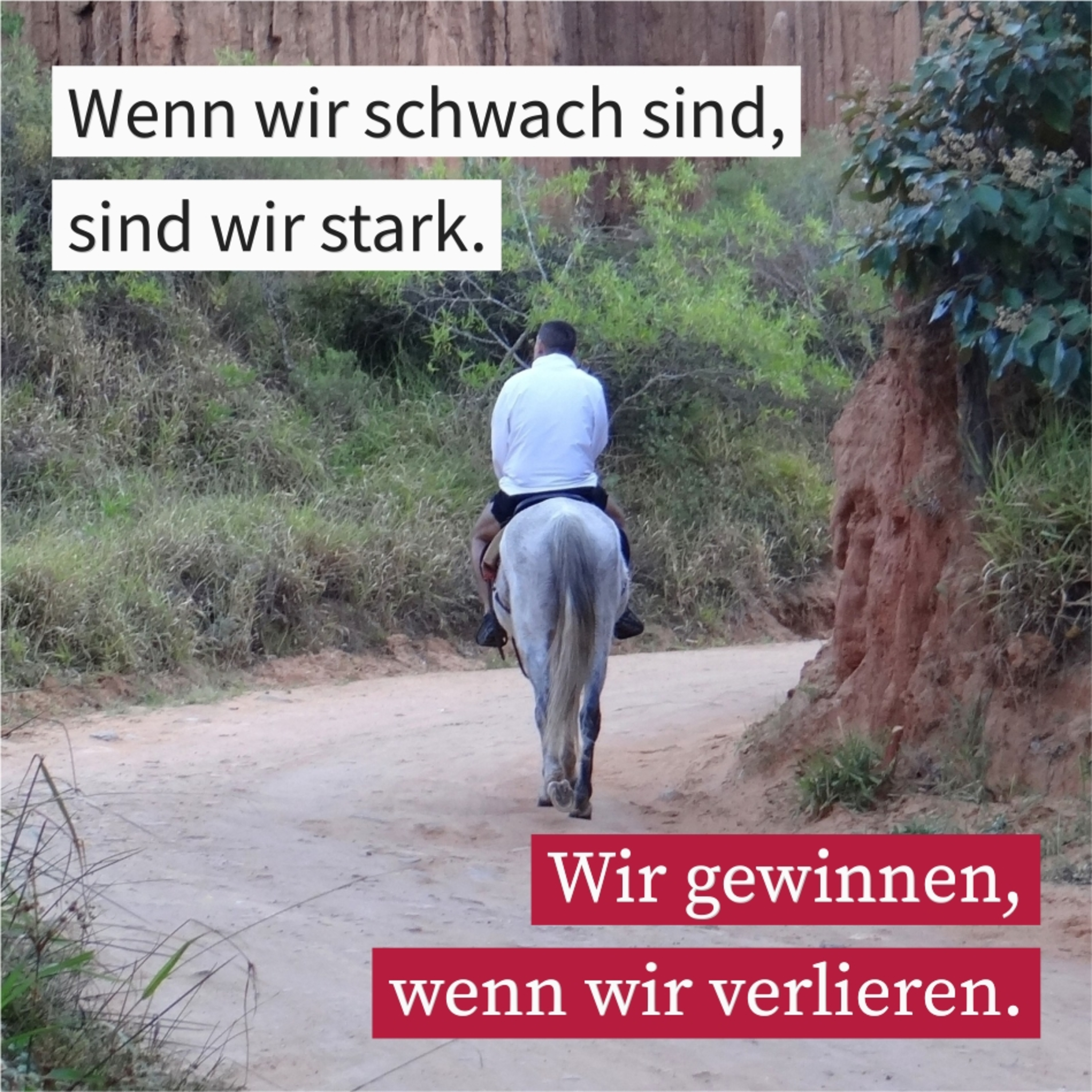 Nimm dir Zeit episode artwork