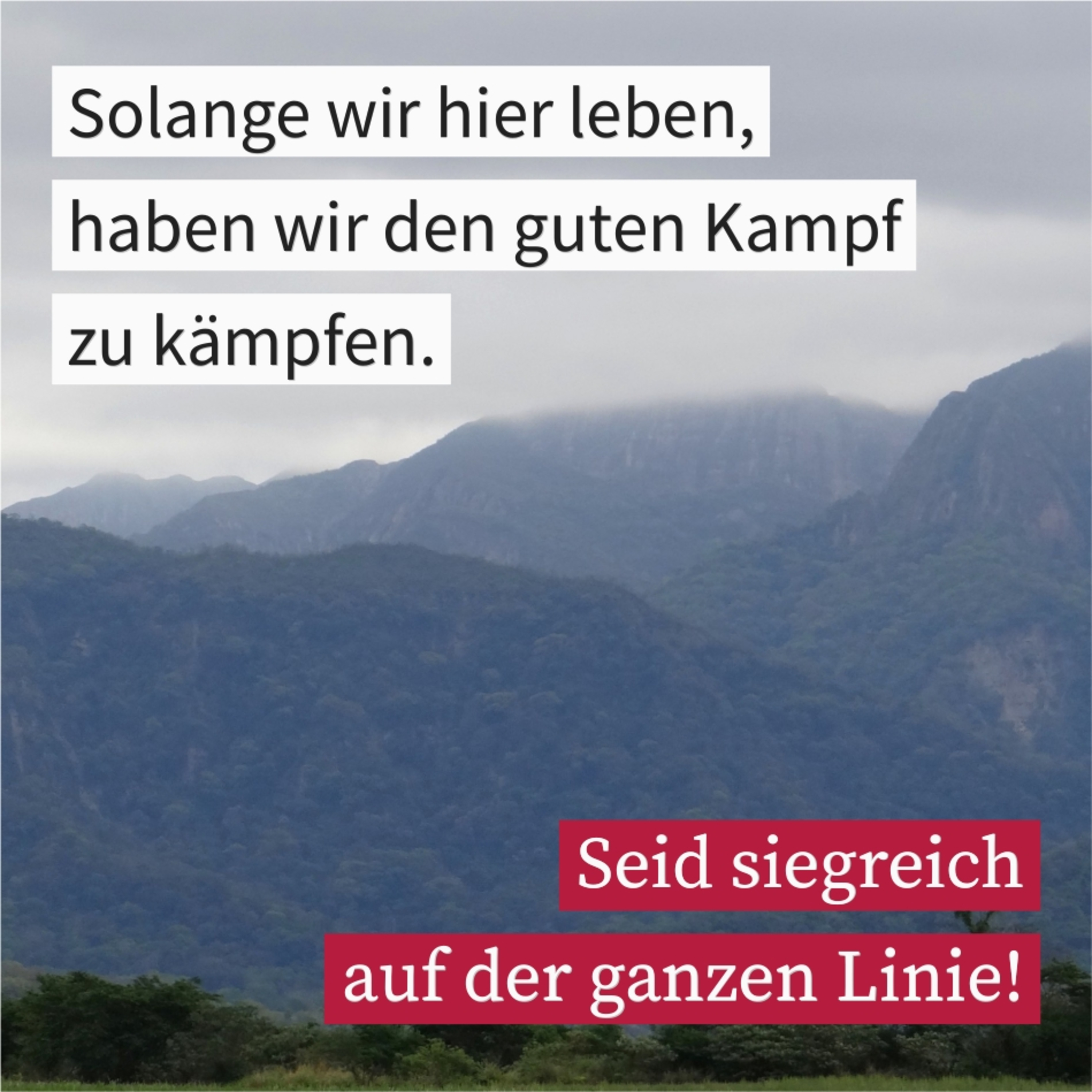 Artwork for Höre Gottes Wort