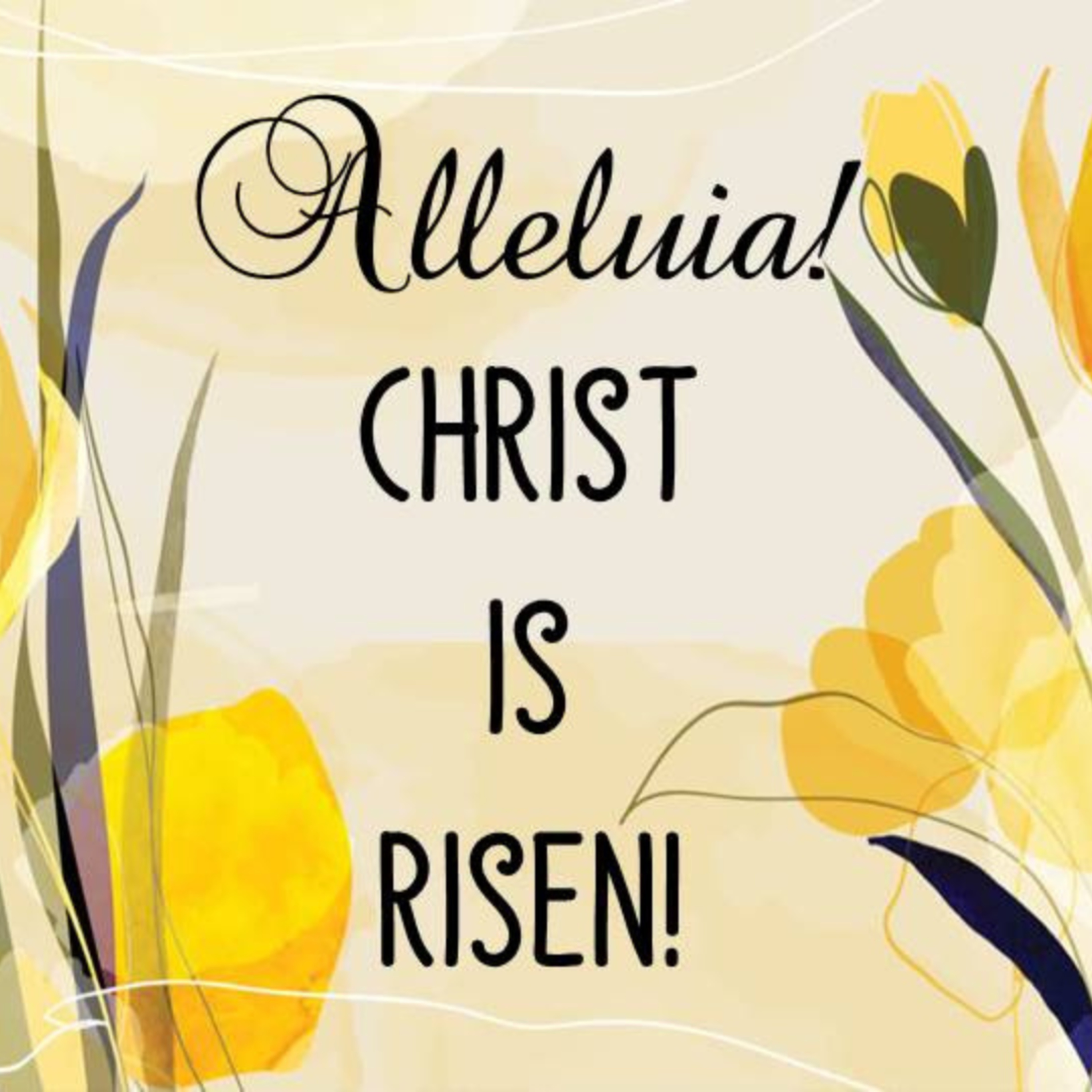 Alleluia! Christ is Risen! | Jesus has breakfast with the Disciples episode artwork
