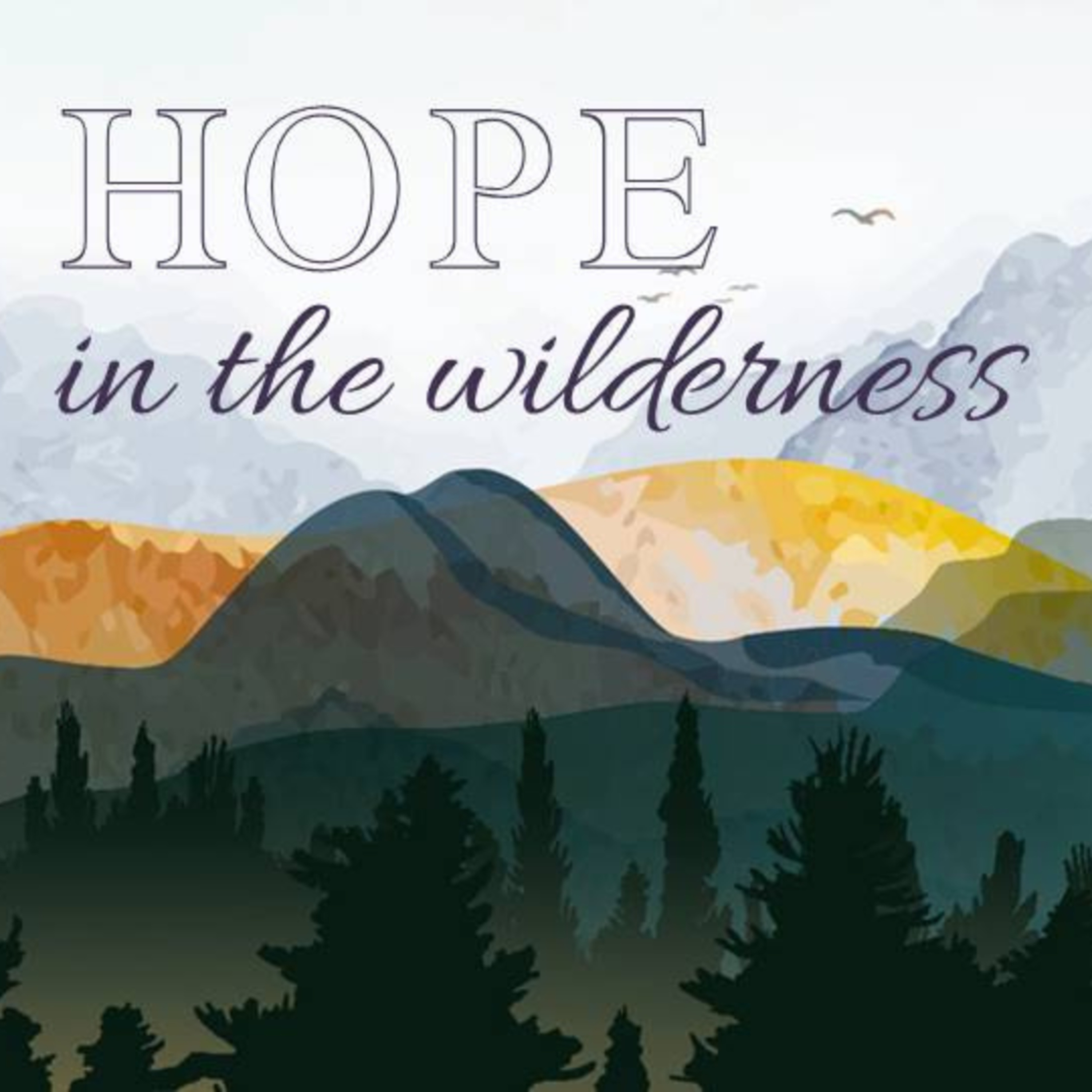 Hope In The Wilderness | God Sees (Hagar) episode artwork