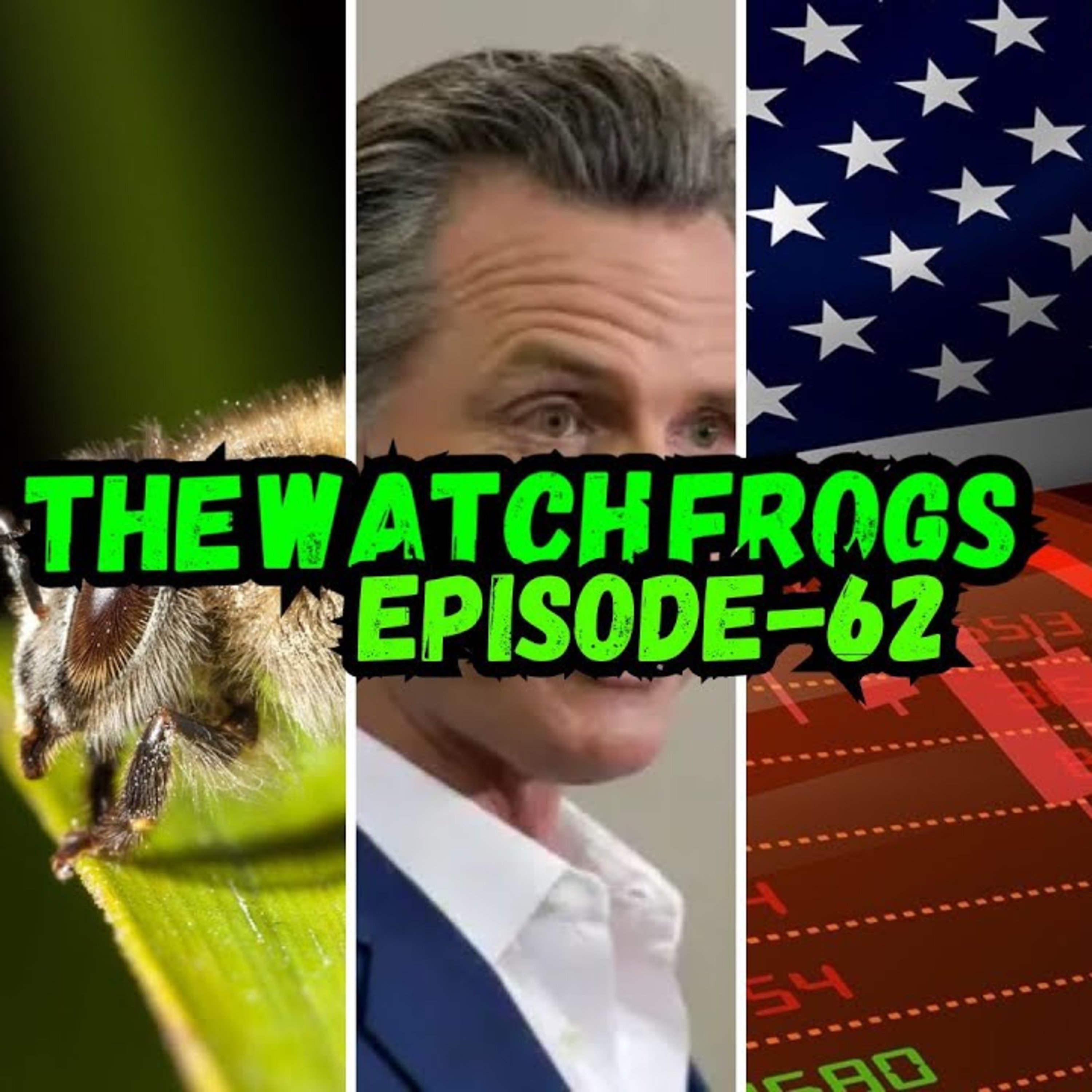 The Watch Frogs