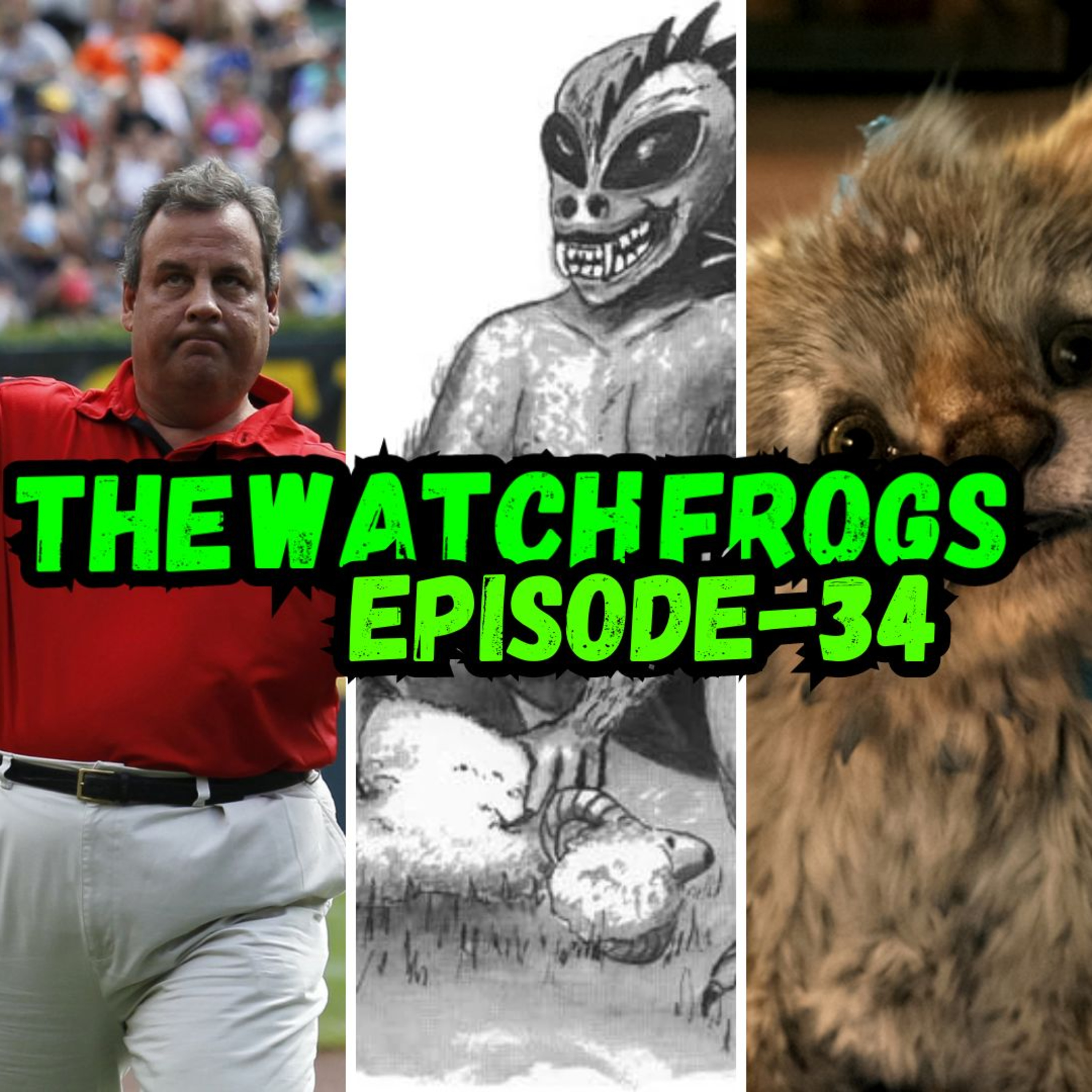 The Watch Frogs