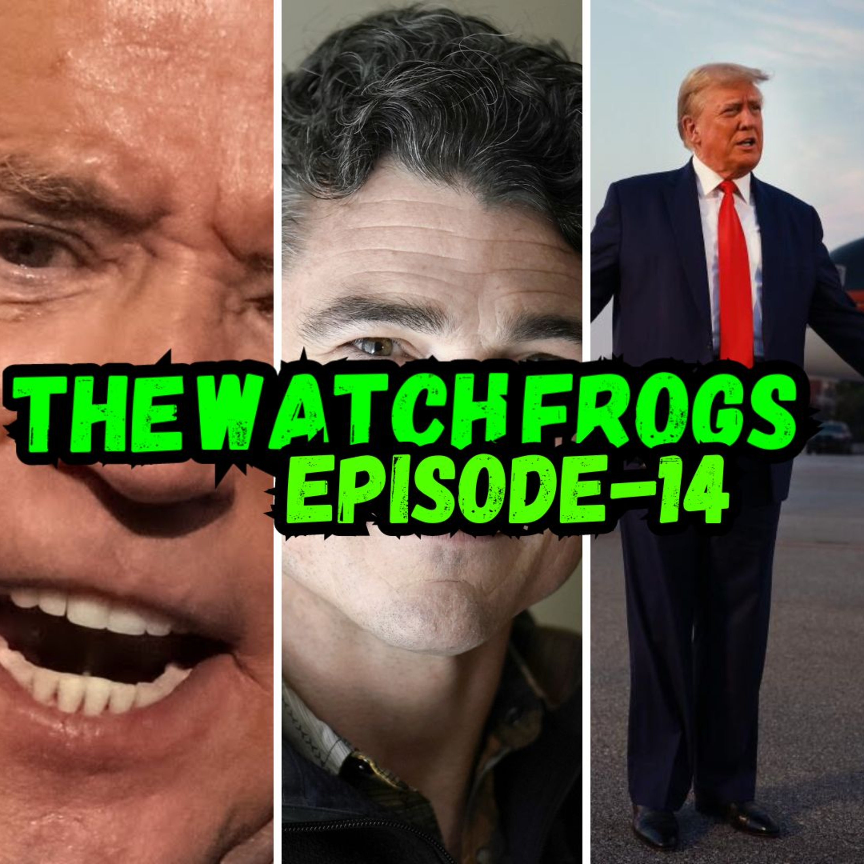 The Watch Frogs
