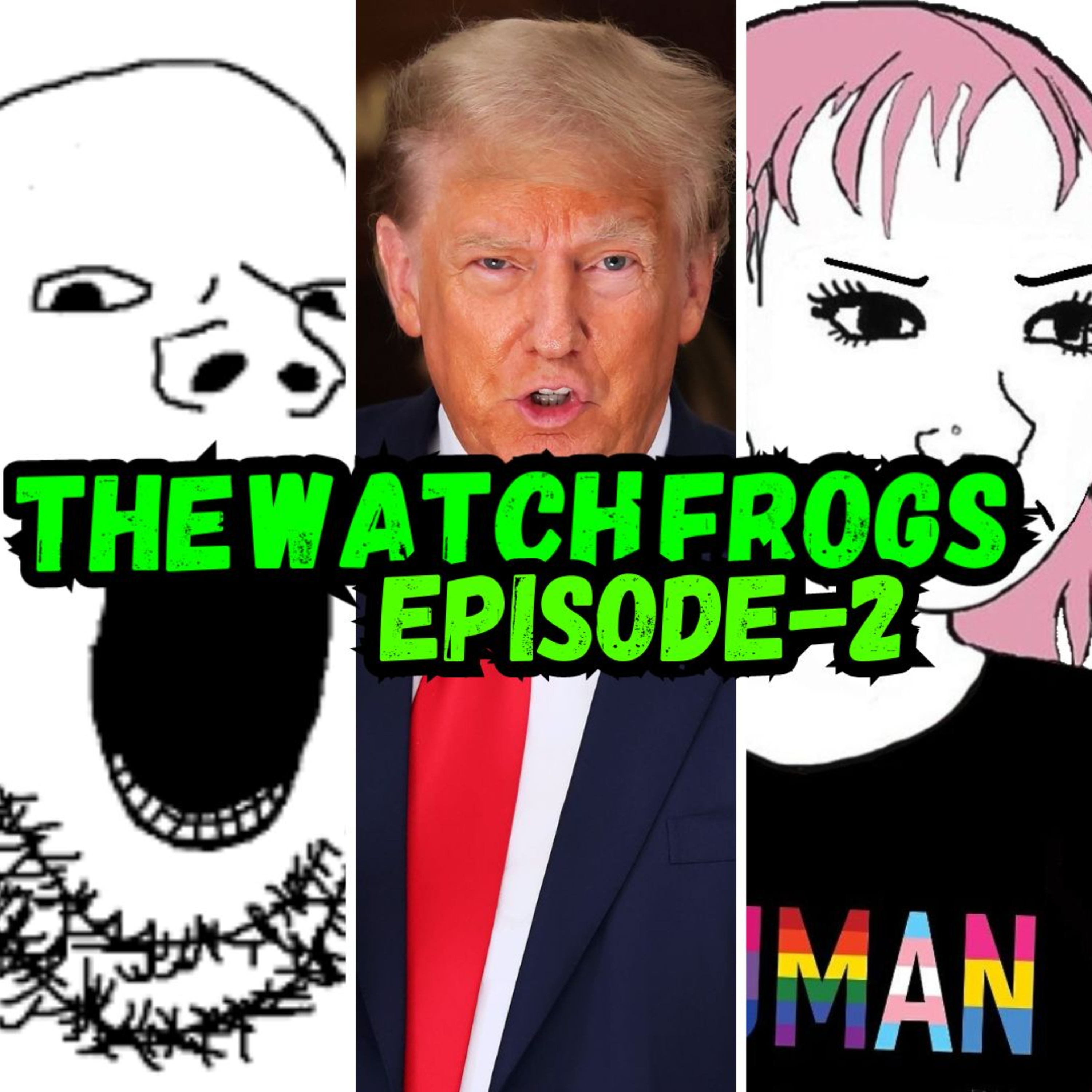 The Watch Frogs