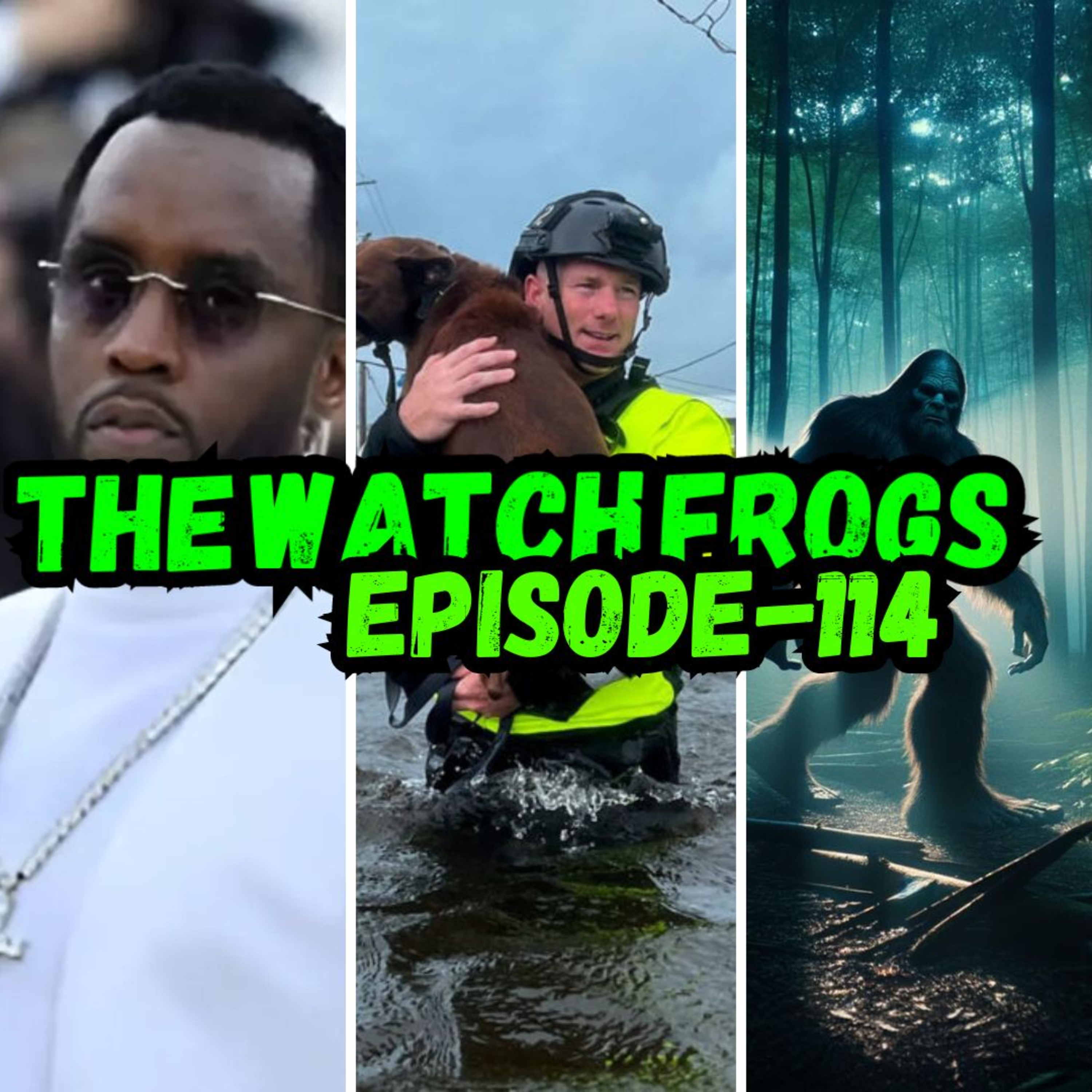 The Watch Frogs