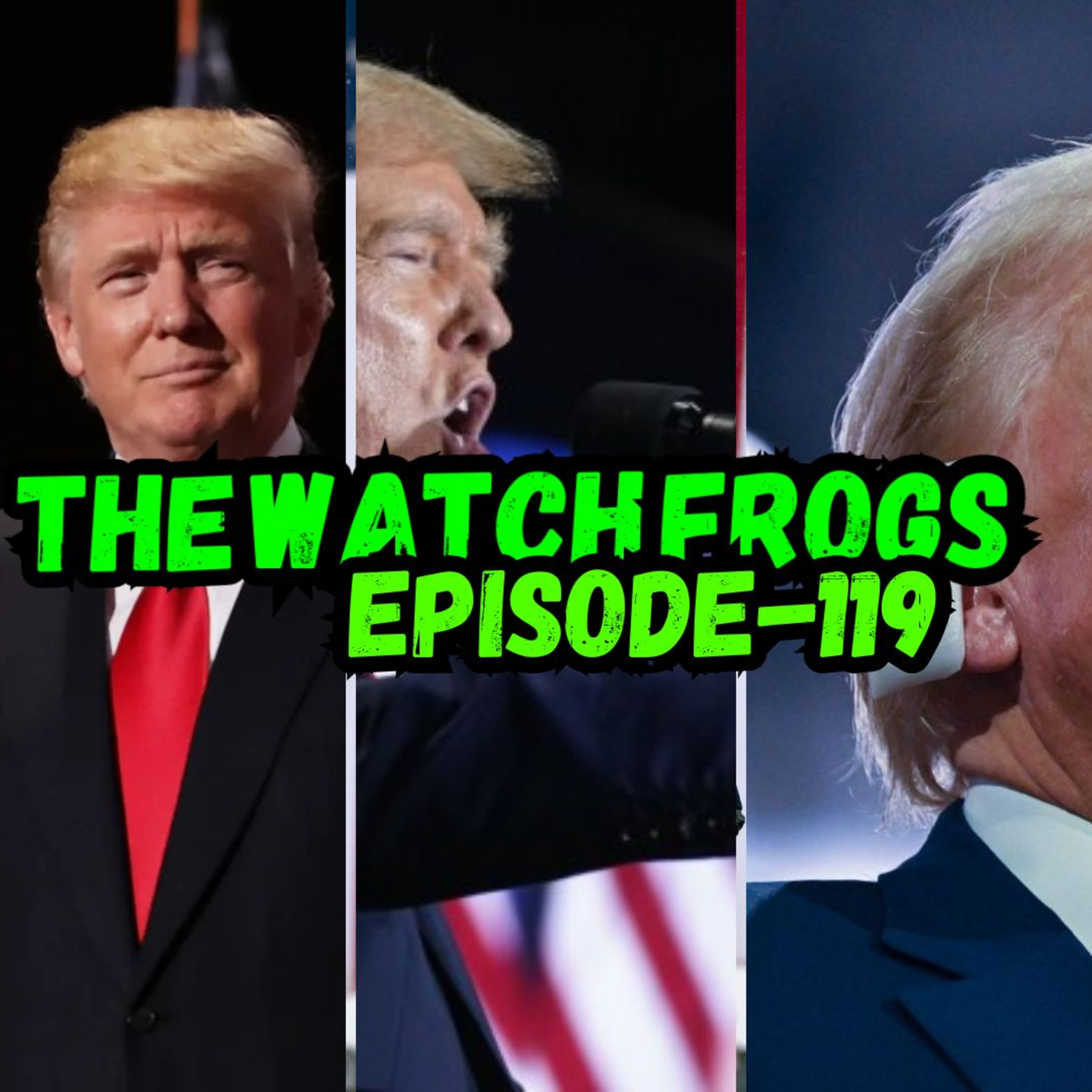The Watch Frogs