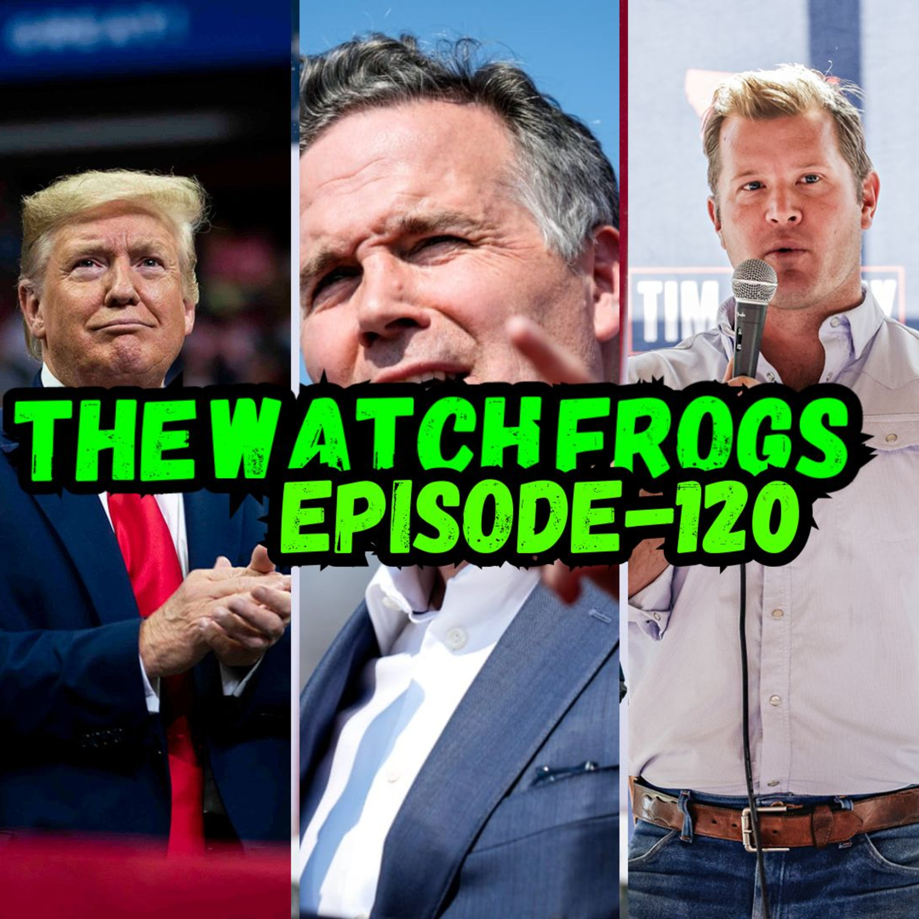The Watch Frogs