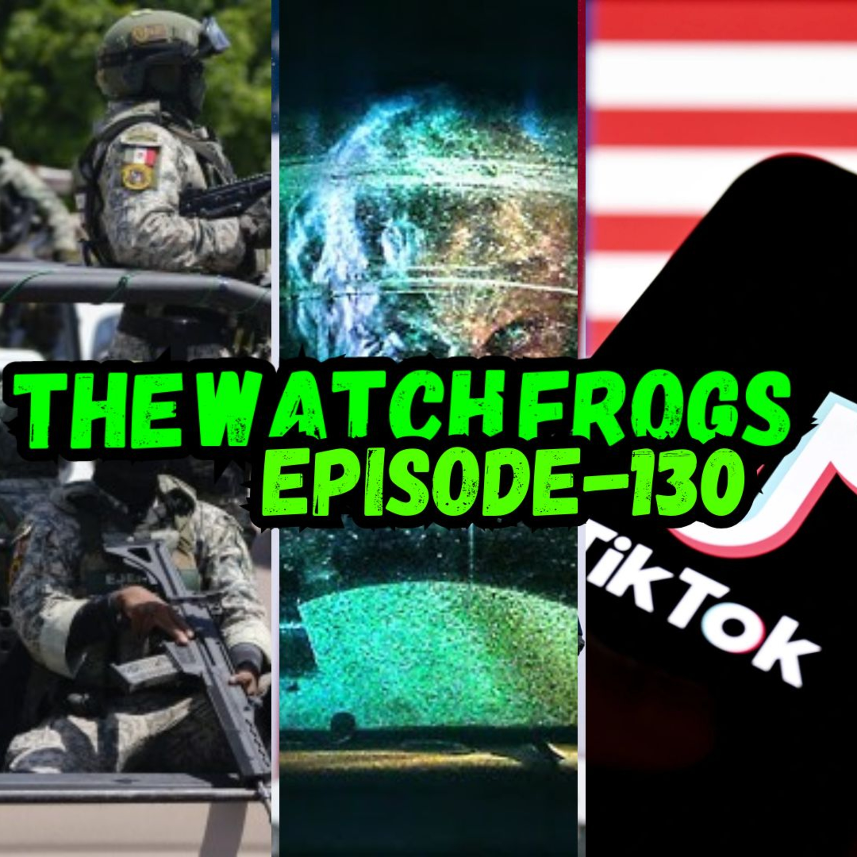 The Watch Frogs