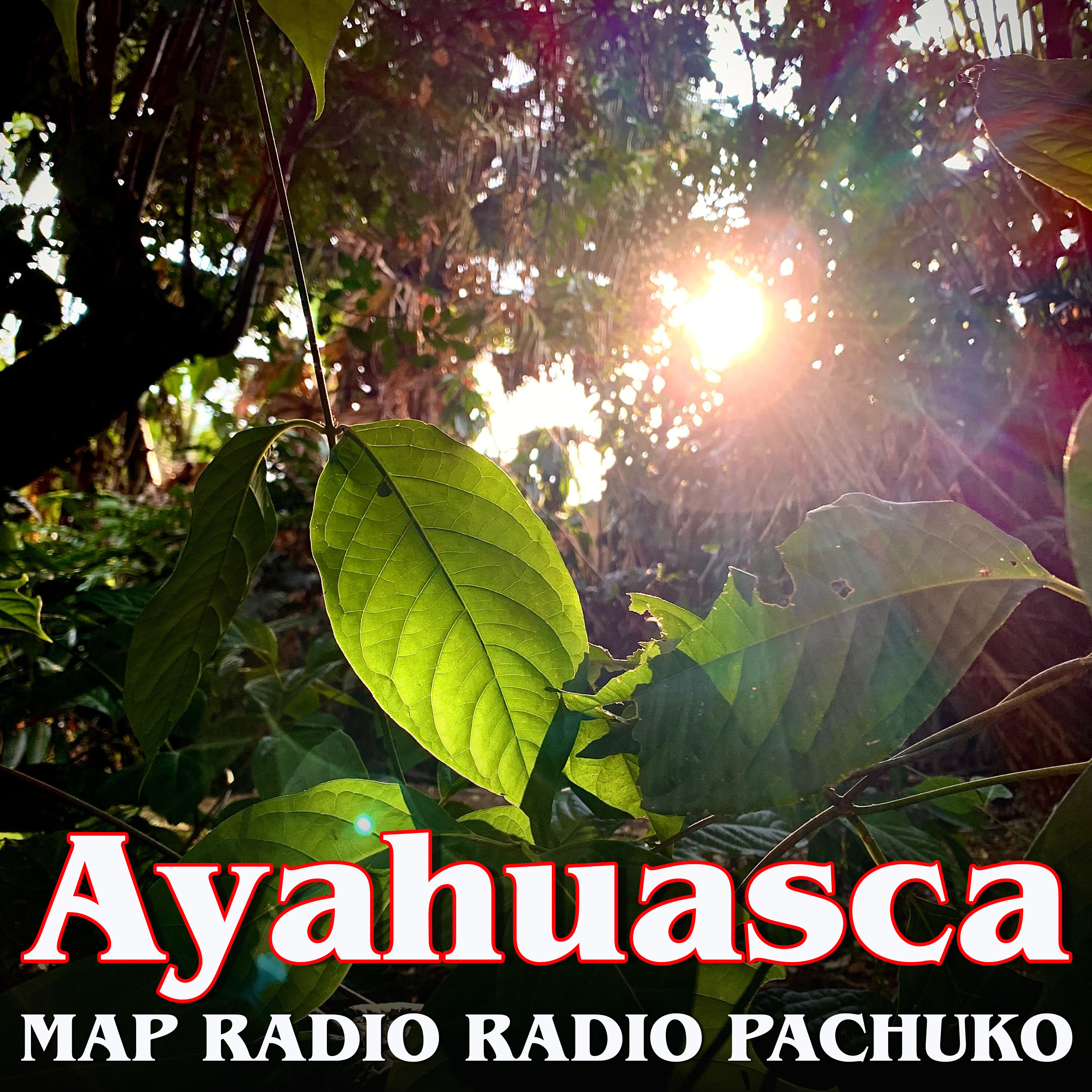 MAP RADIO / RADIO PACHUKO