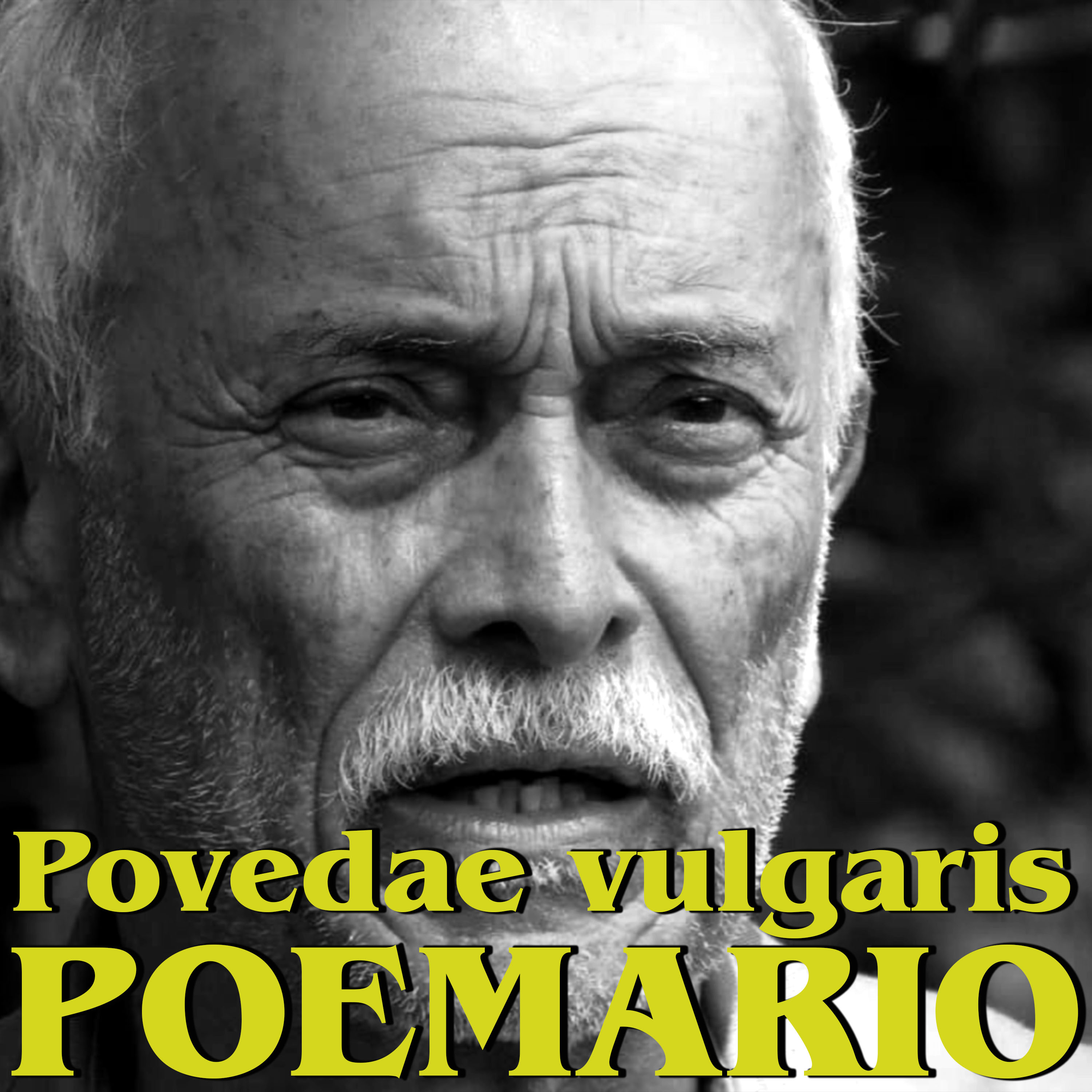 Presentación del Poemario "Povedae vulgaris" de Luis Jorge Poveda (2025) [VIDEO]