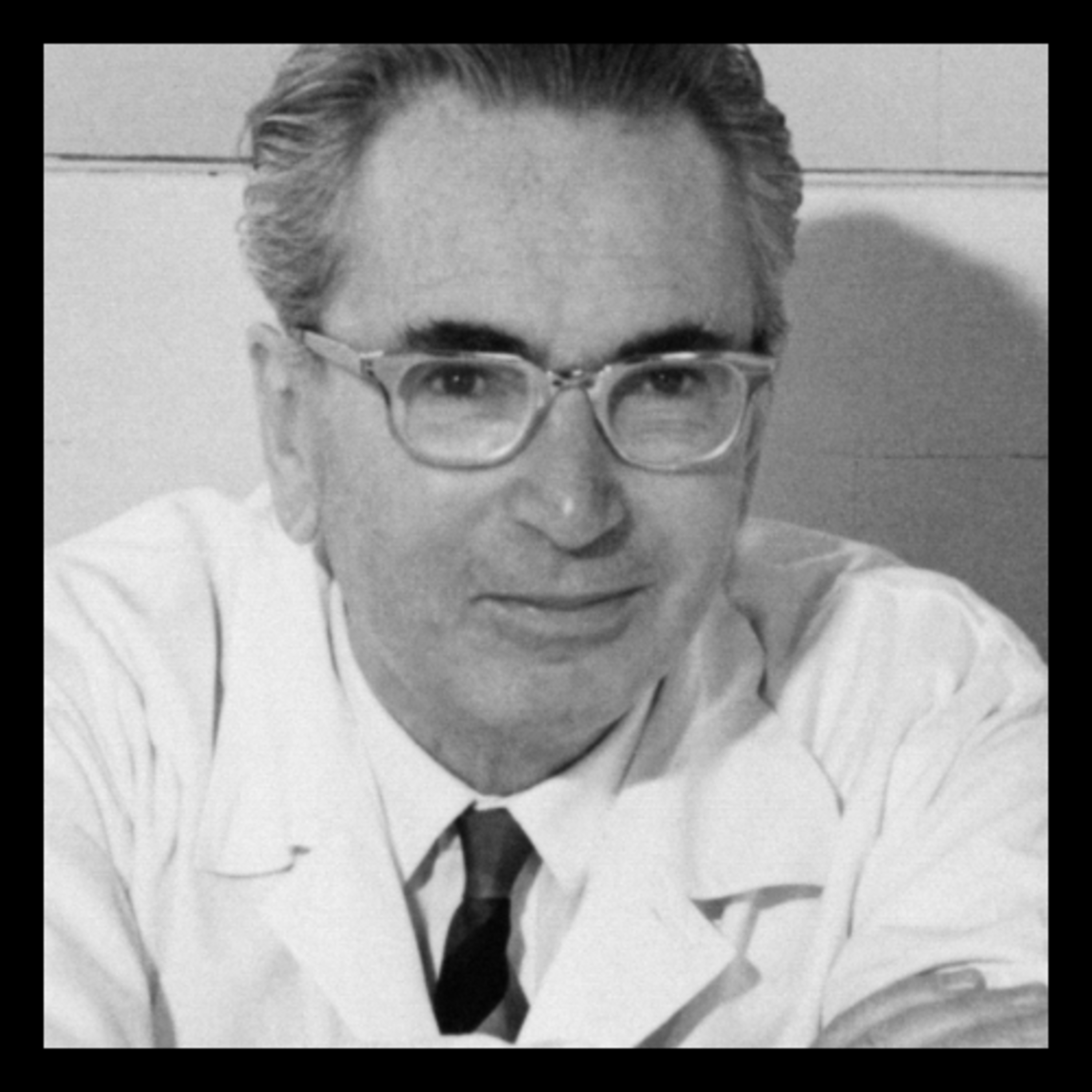 Viktor Frankl revela o desespero que destrói as pessoas por dentro