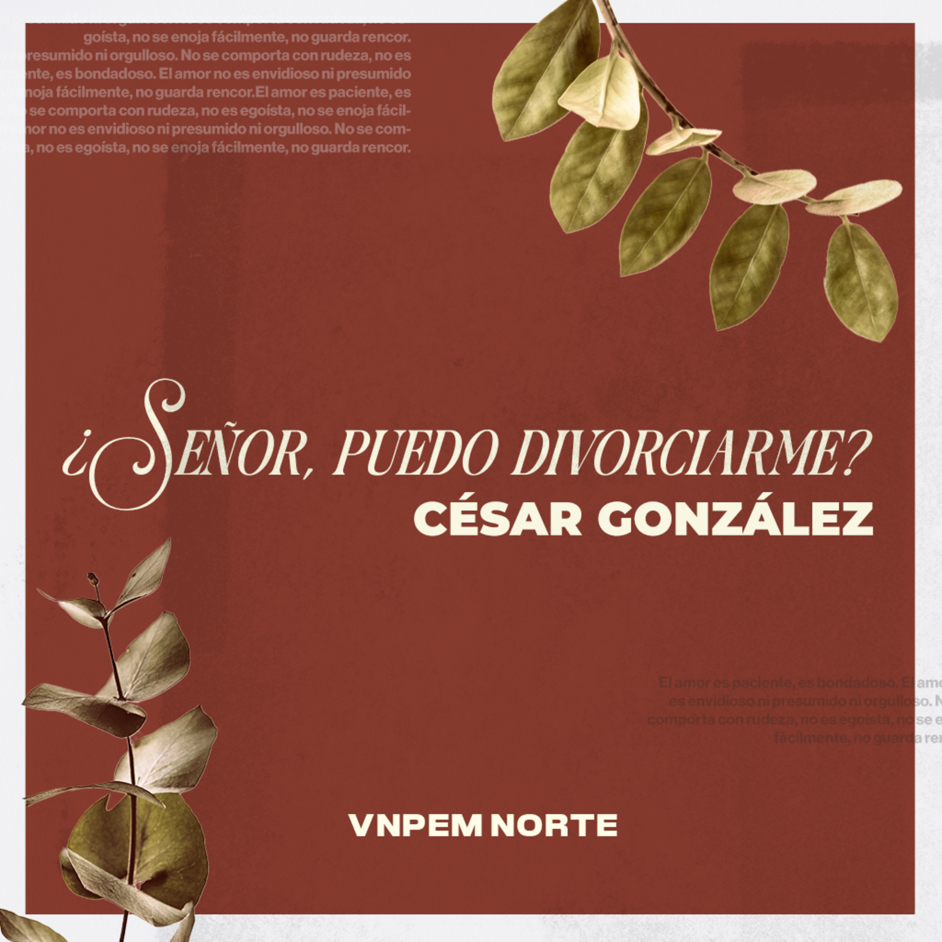 Portada de Vida Nueva Podcast