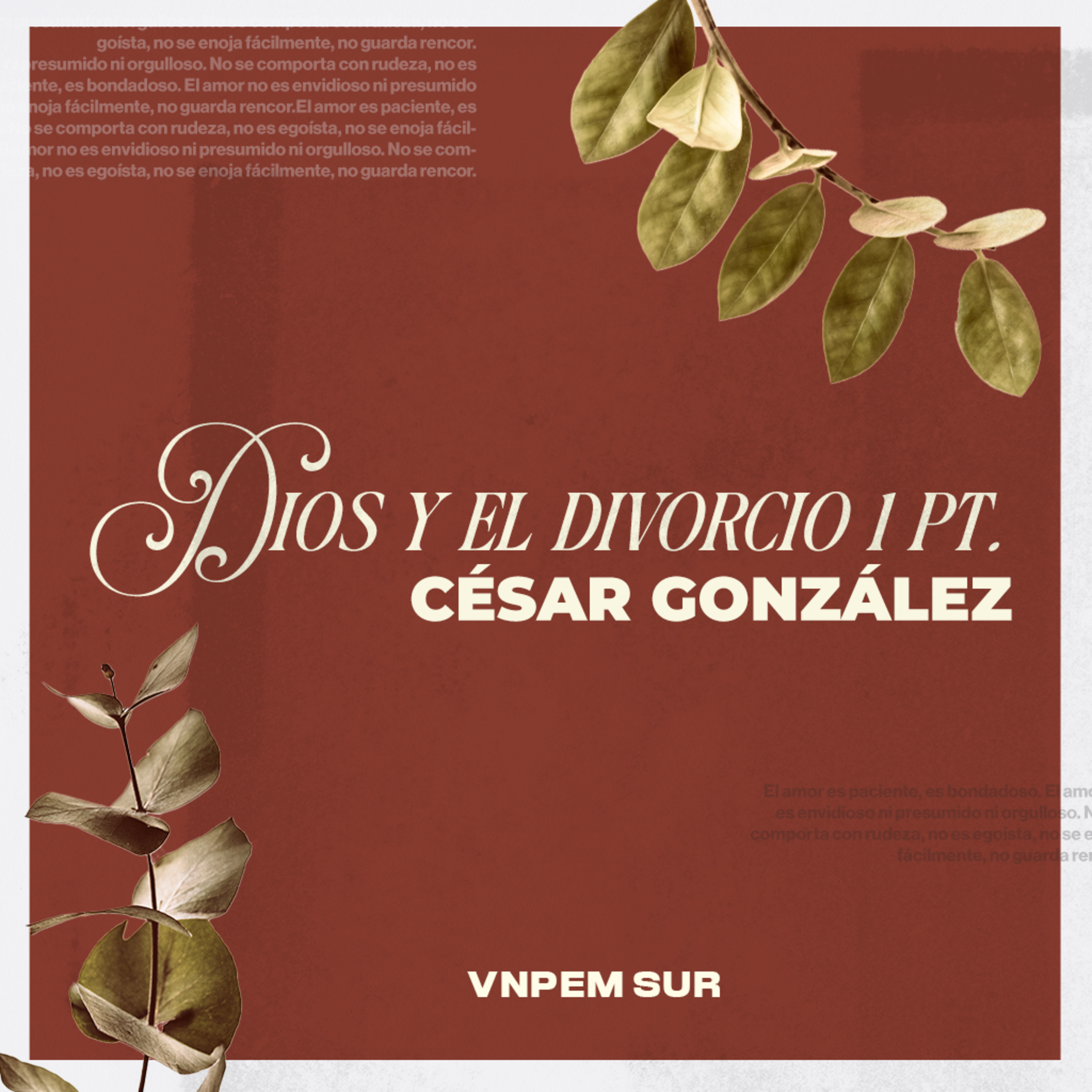 Portada de Vida Nueva Podcast