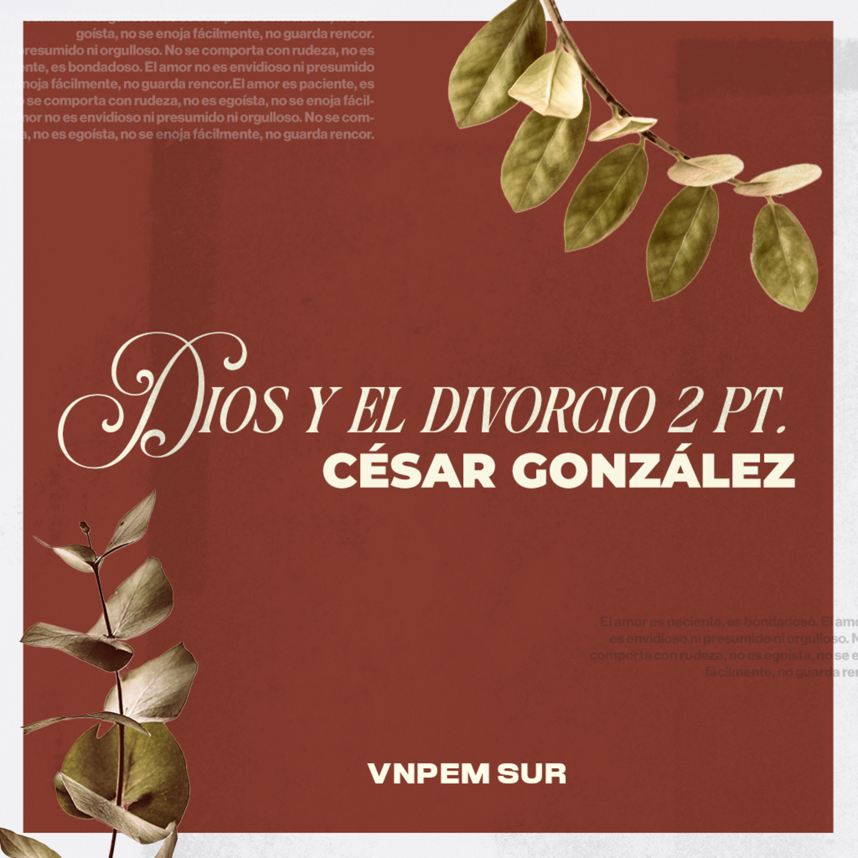 Portada de Vida Nueva Podcast