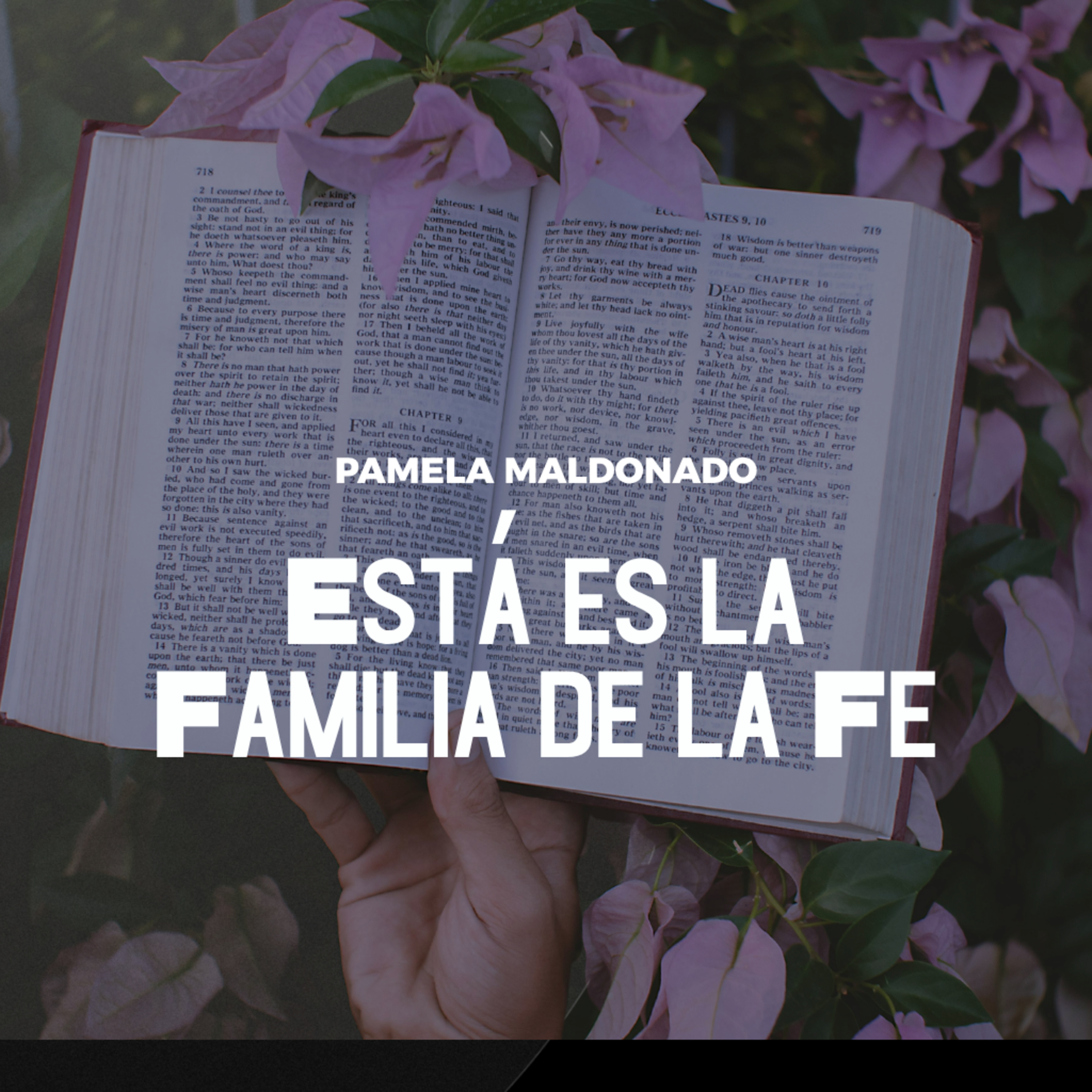 Está es la Familia de la Fe | Pamela Maldonado | VNPEM NORTE