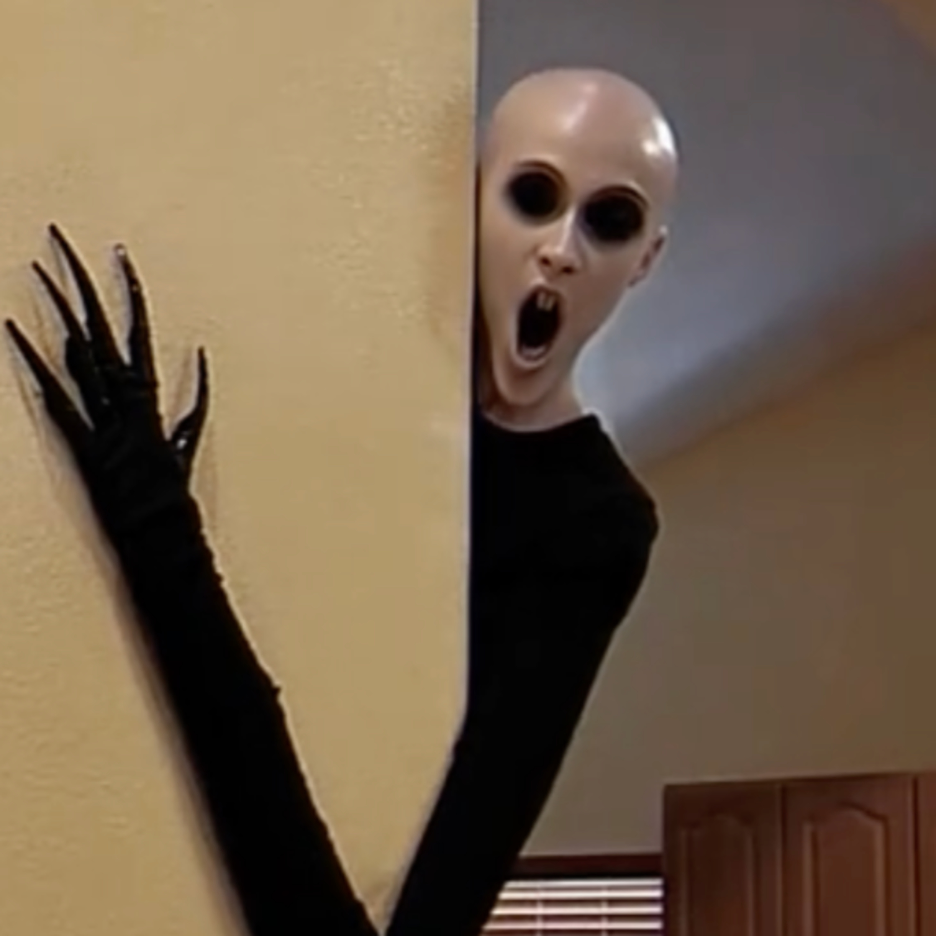 Kikimoorid