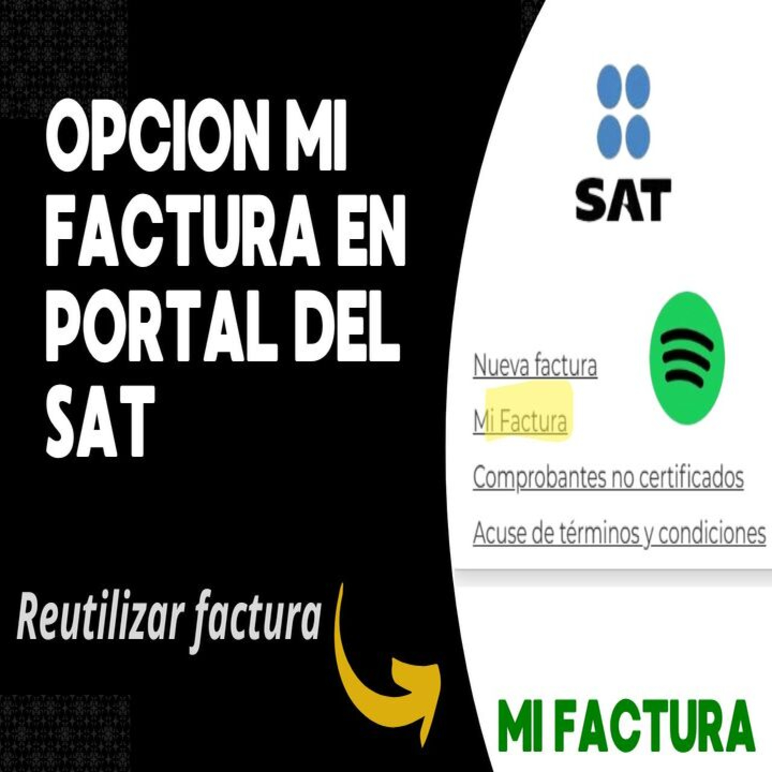 El Conta Trejo
