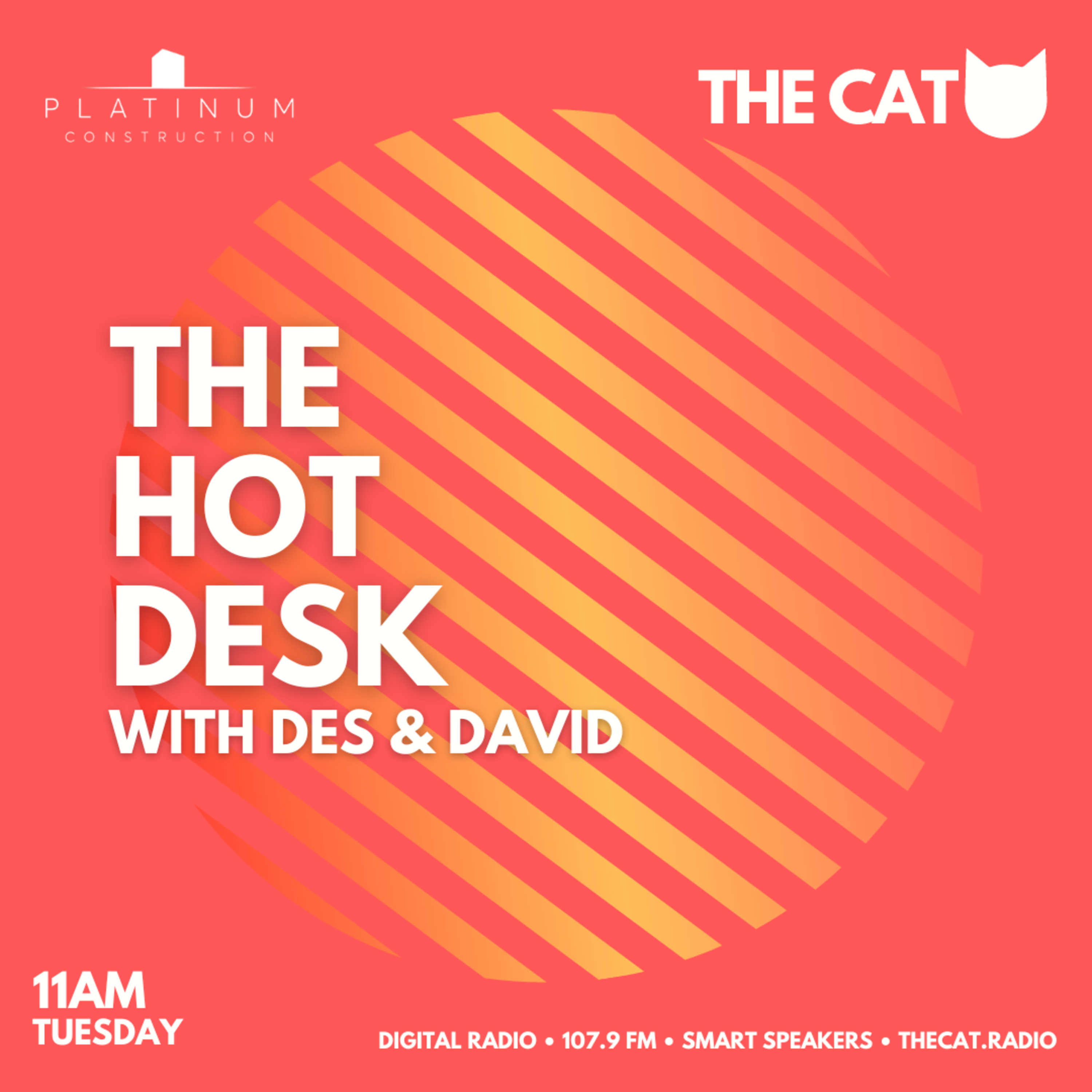 The Cat