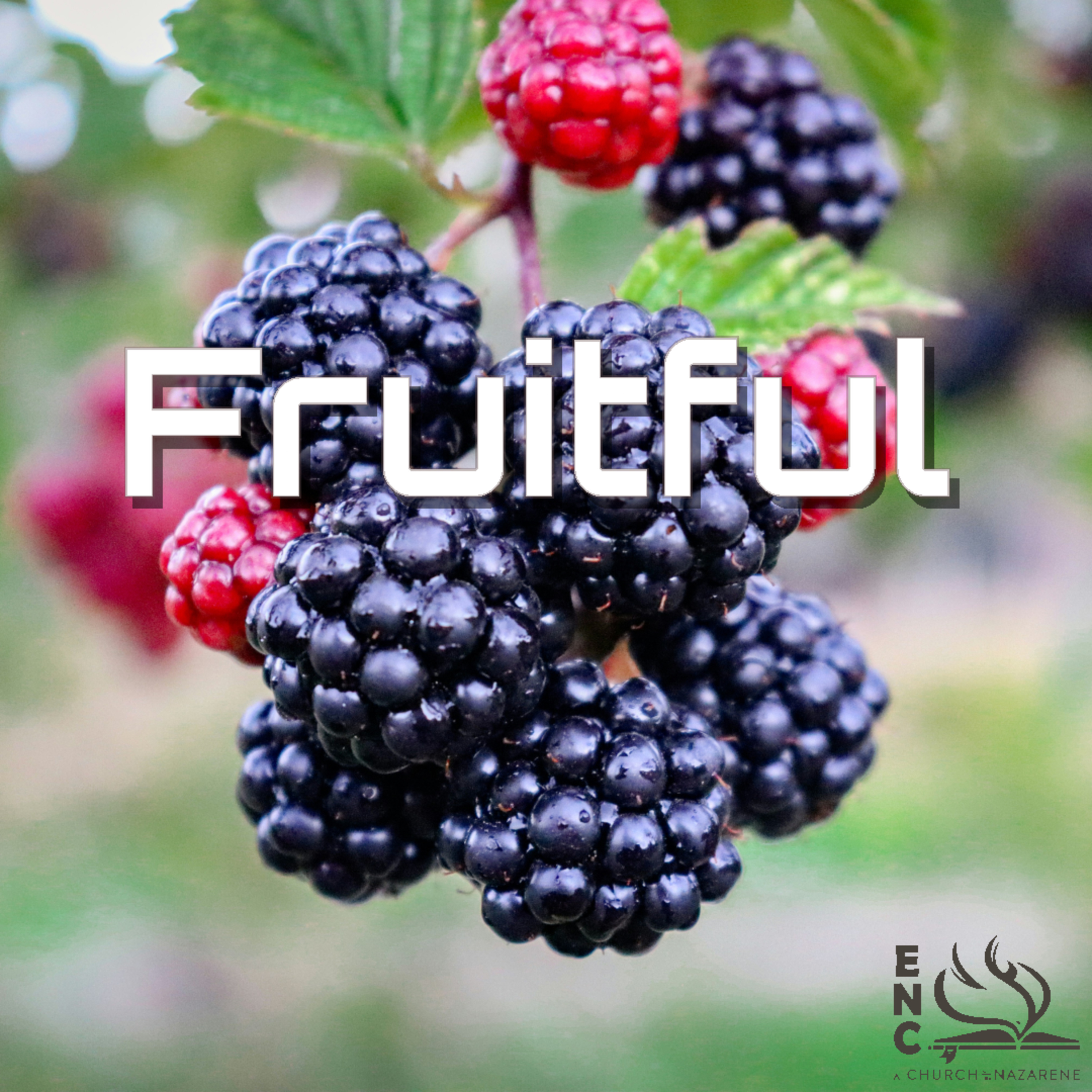 Fruitful episode artwork