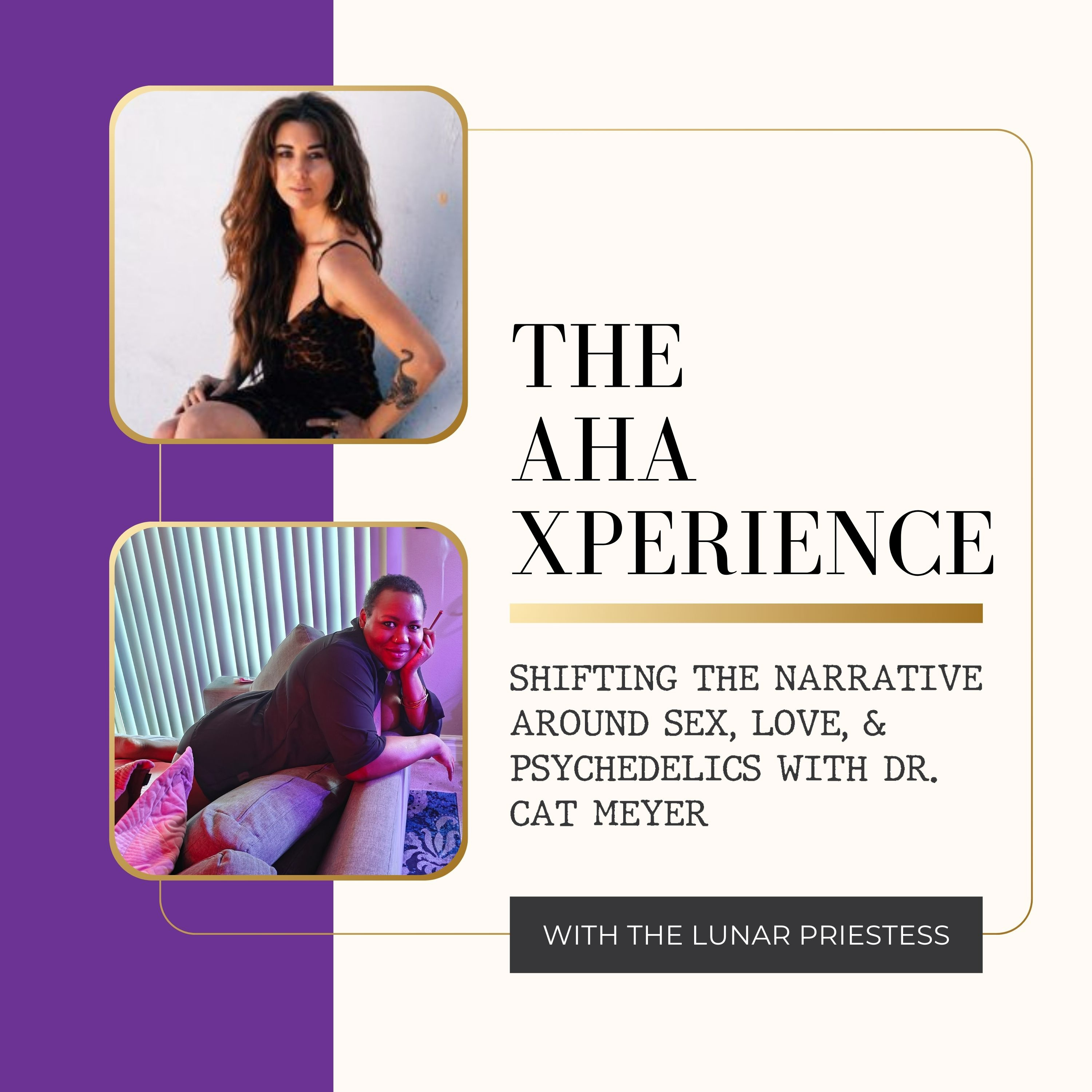 Shifting the Narrative Around Sex + Psychedelics with Dr. Cat Meyer episode artwork
