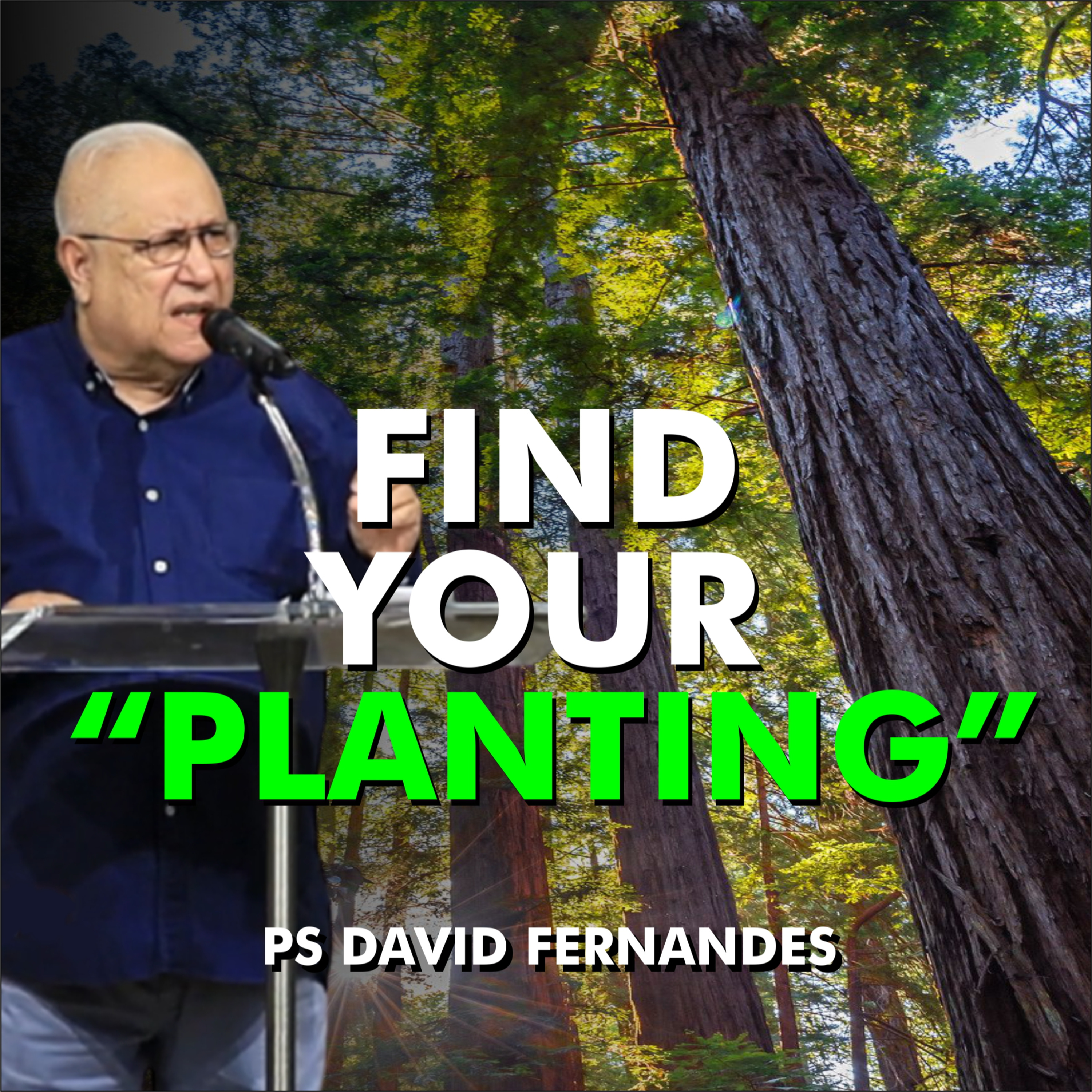 Find Your Planting episode artwork