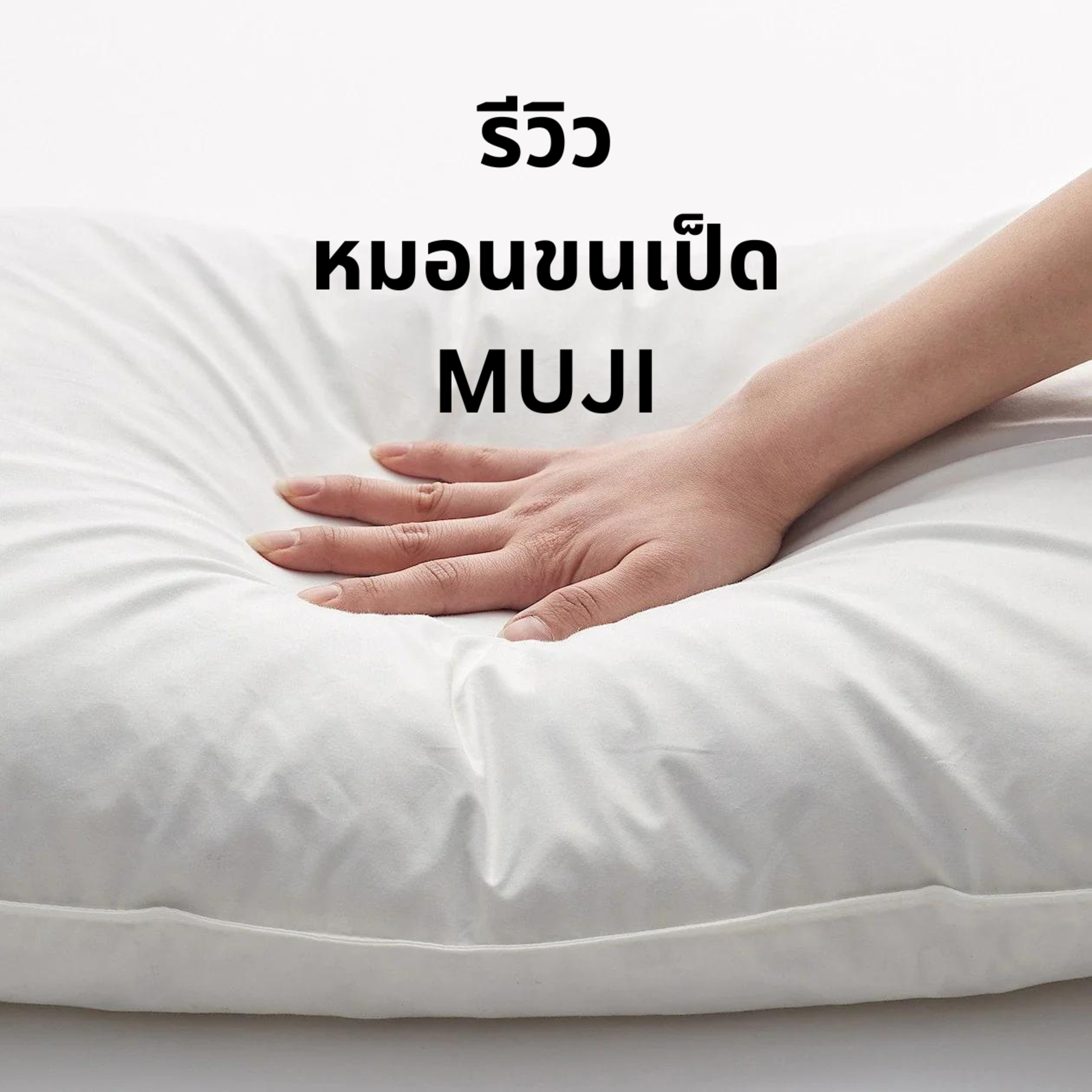 รีวิวหมอนขนเป็ด : หมอนขนเป็ด Muji ดีไหม ? episode artwork