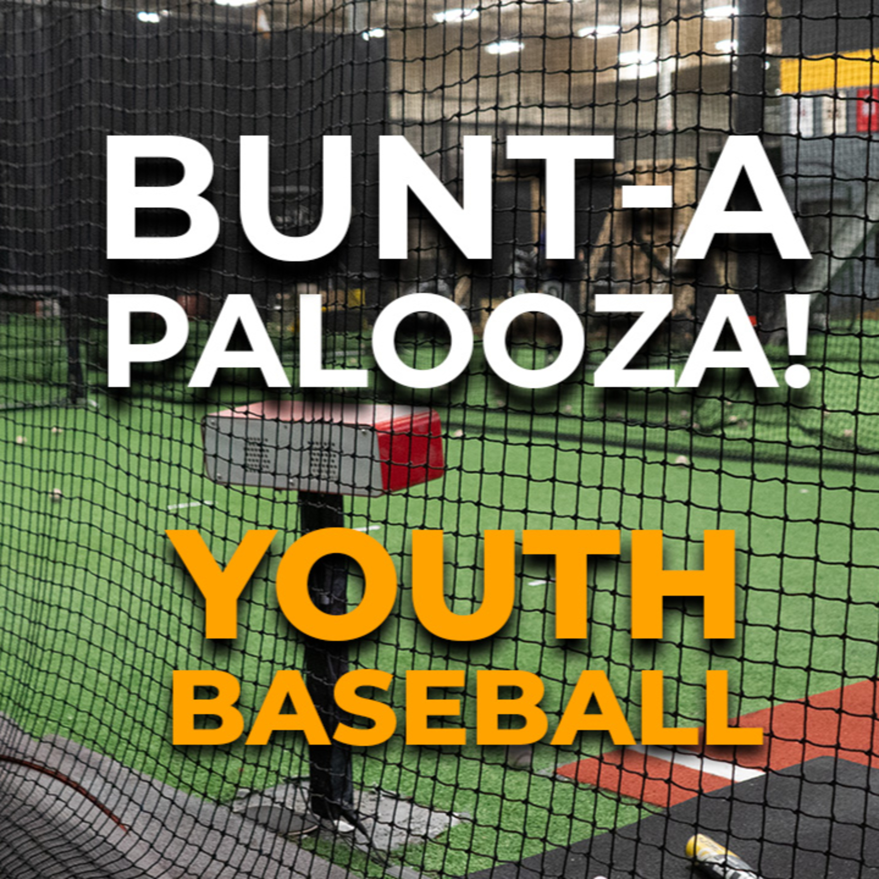Bunt-A-Pallooza! Let's Talk Bunting & The Never Bunt Concept - Academy Youth Baseball Podcast EP 17 | Driveline Baseball episode artwork