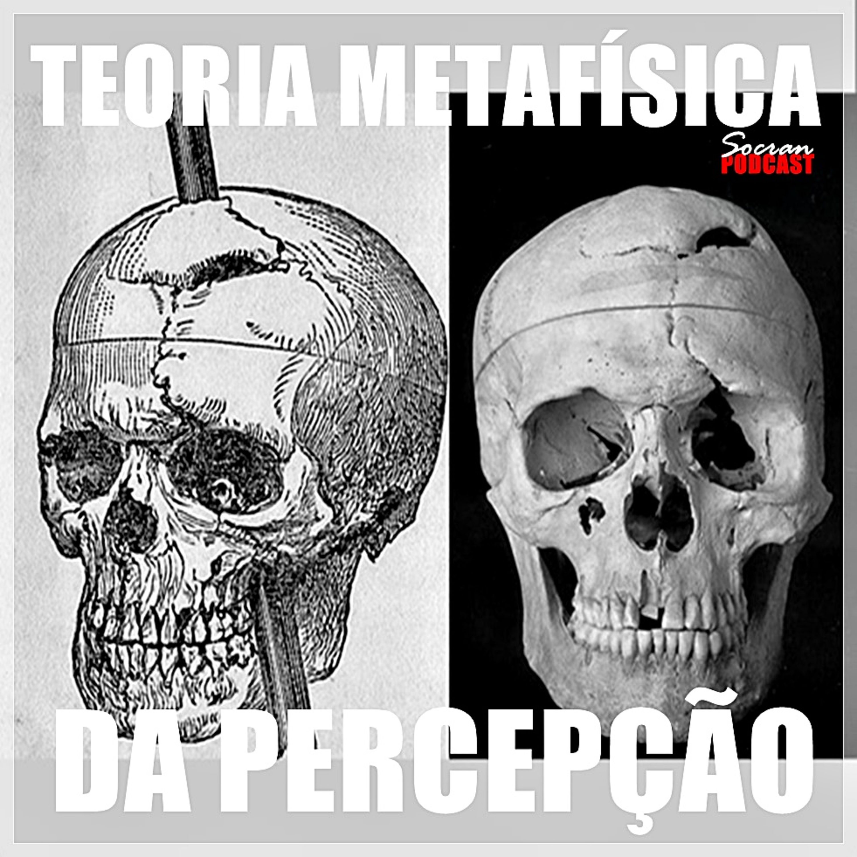 JAMES GIBSON CONTRA A NEUROCIÊNCIA REDUCIONISTA