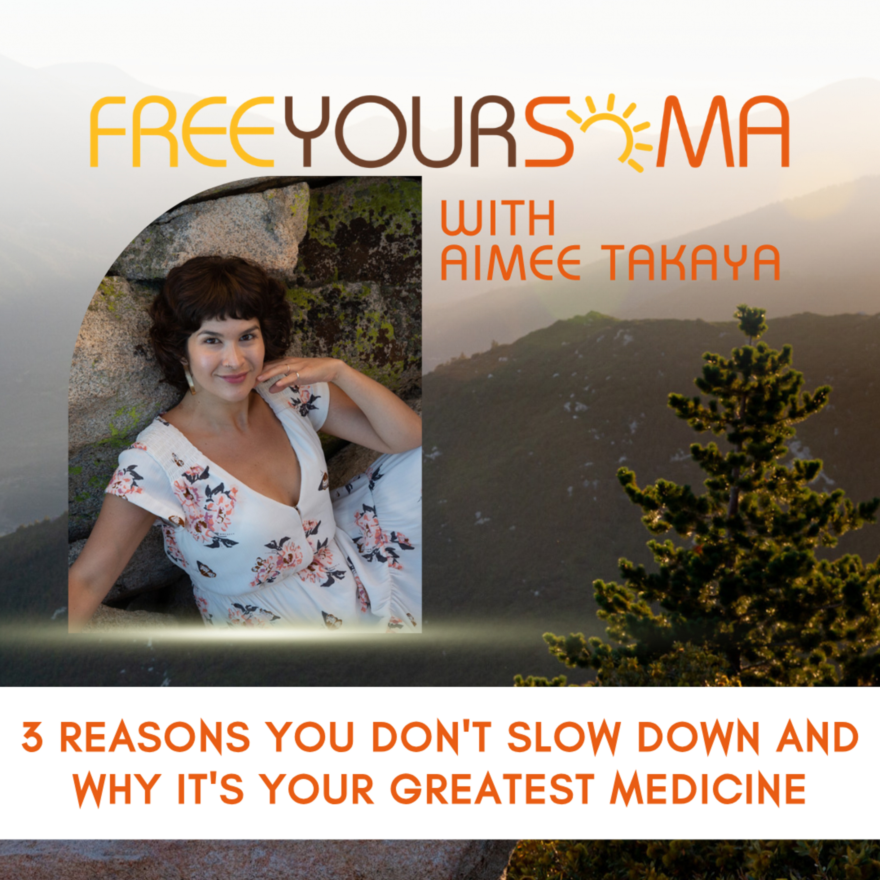 3 Reasons You DON'T Slow Down and Why it's Your Greatest Medicine episode artwork