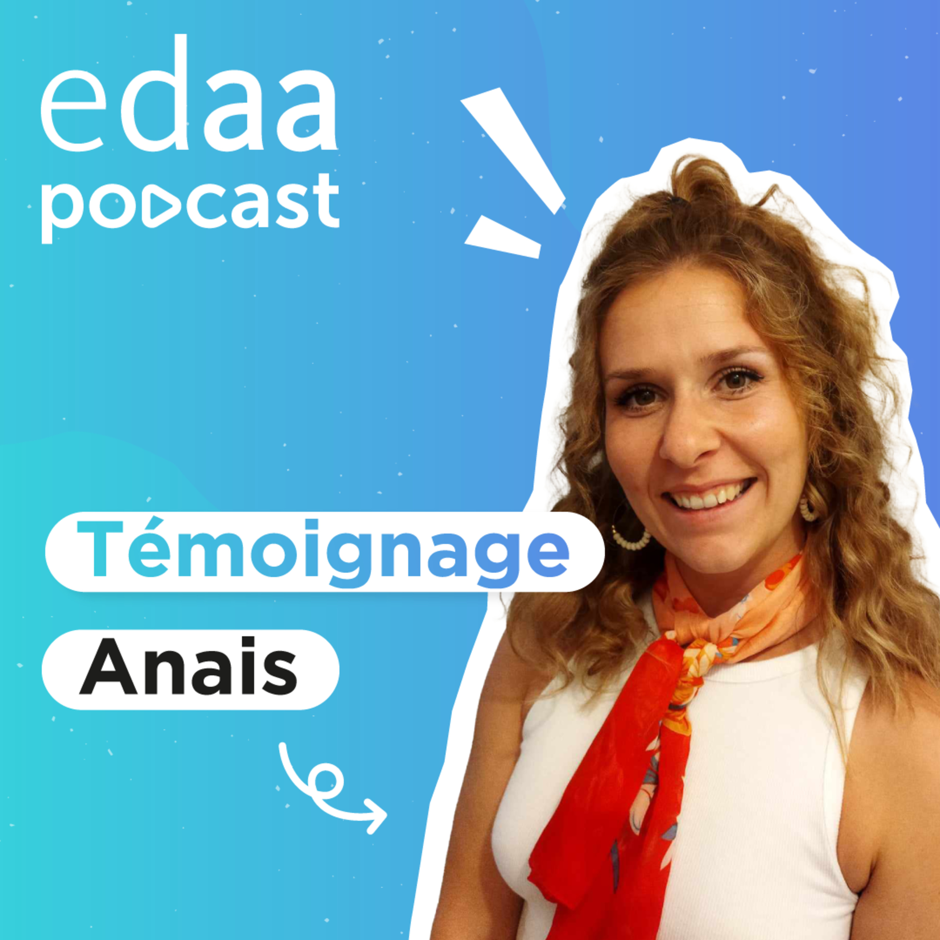 La décoration et l'infographie : le combo parfait - Anaïs episode artwork