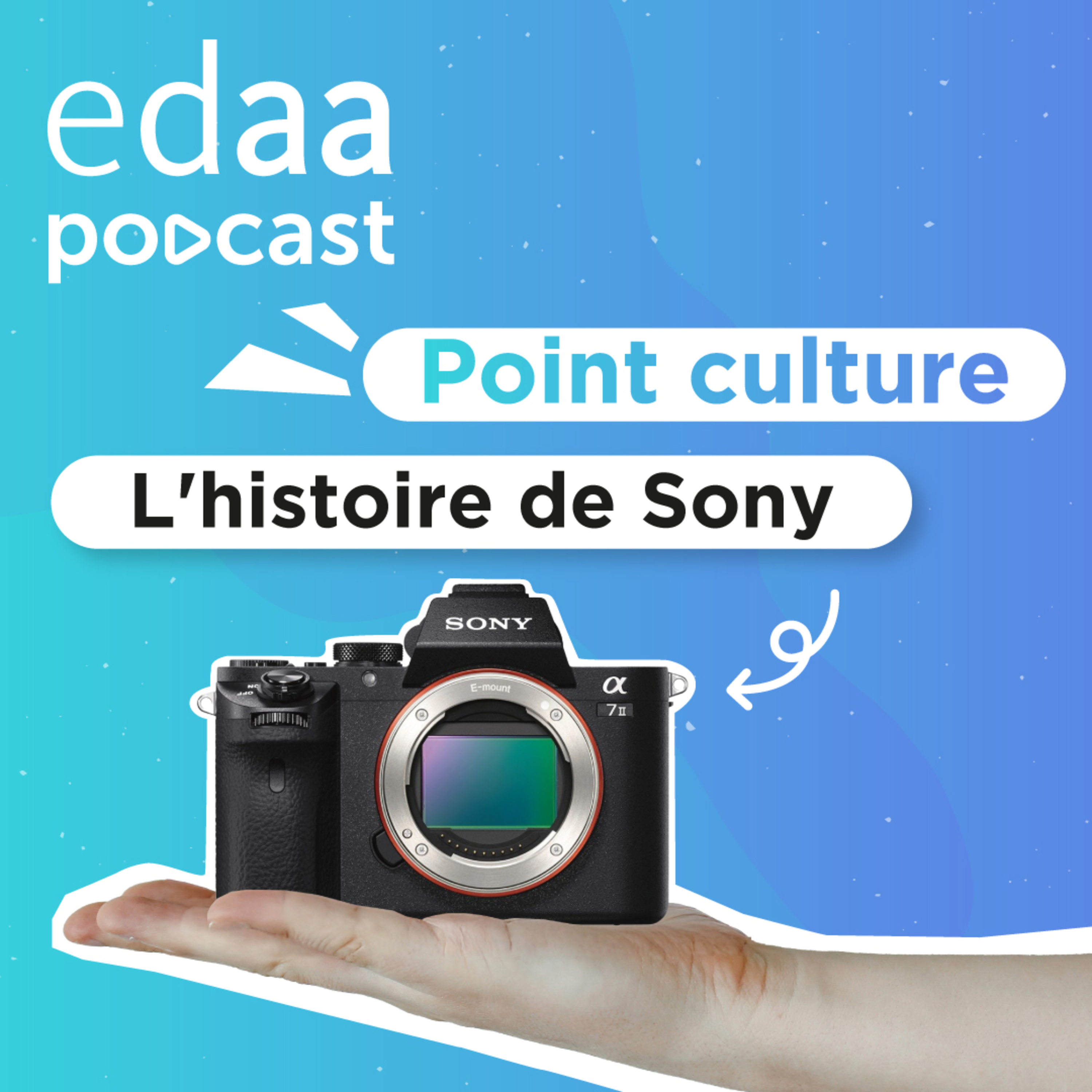 Point culture - L'histoire de Sony episode artwork