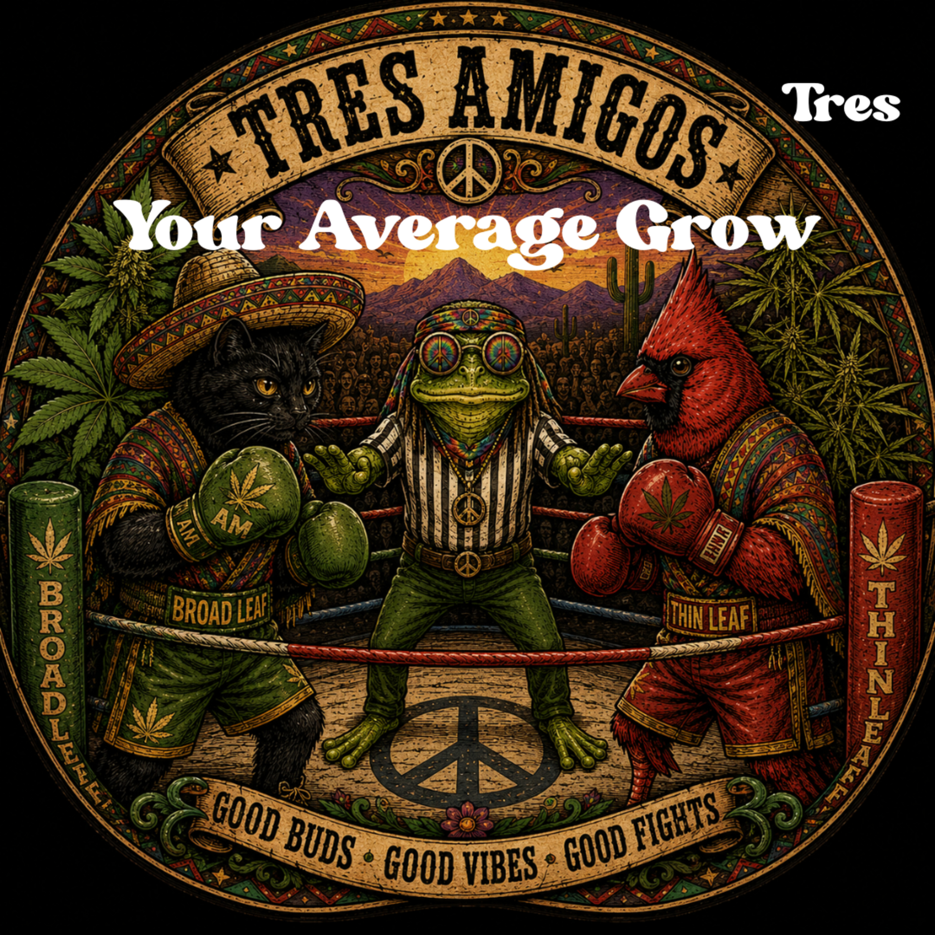 Tres Amigos Tres episode artwork