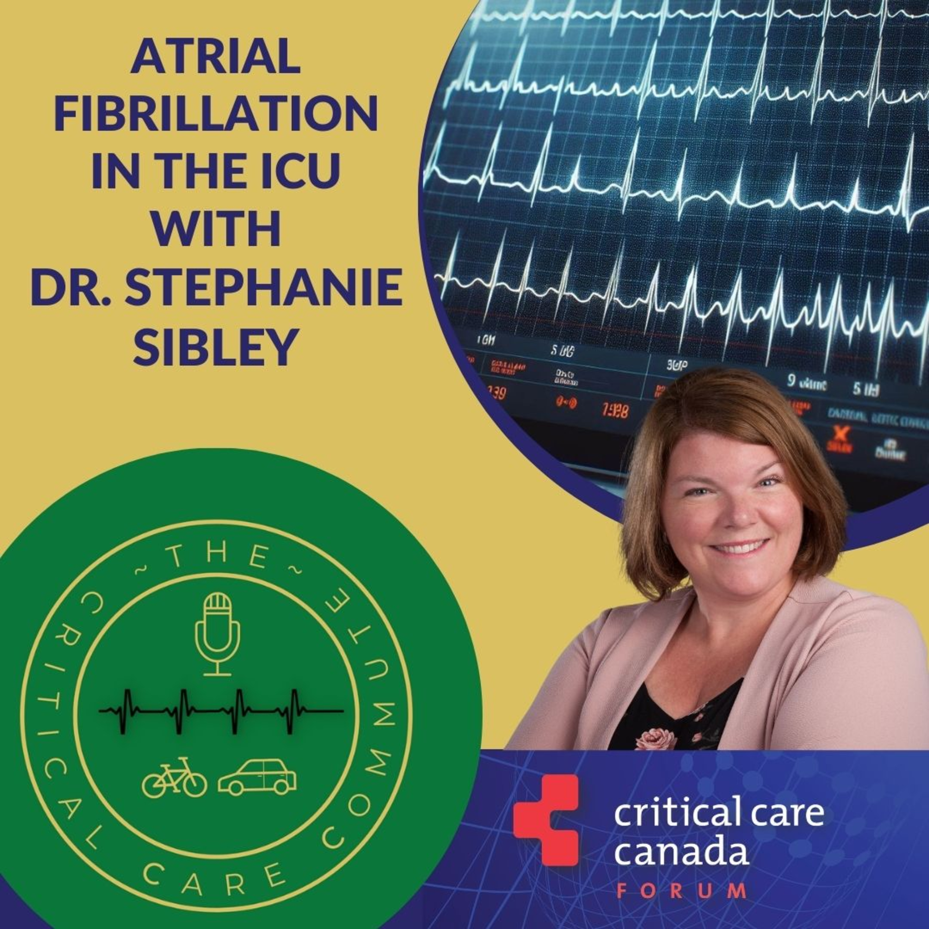 Atrial Fibrillation in the ICU - Dr Stephanie Sibley