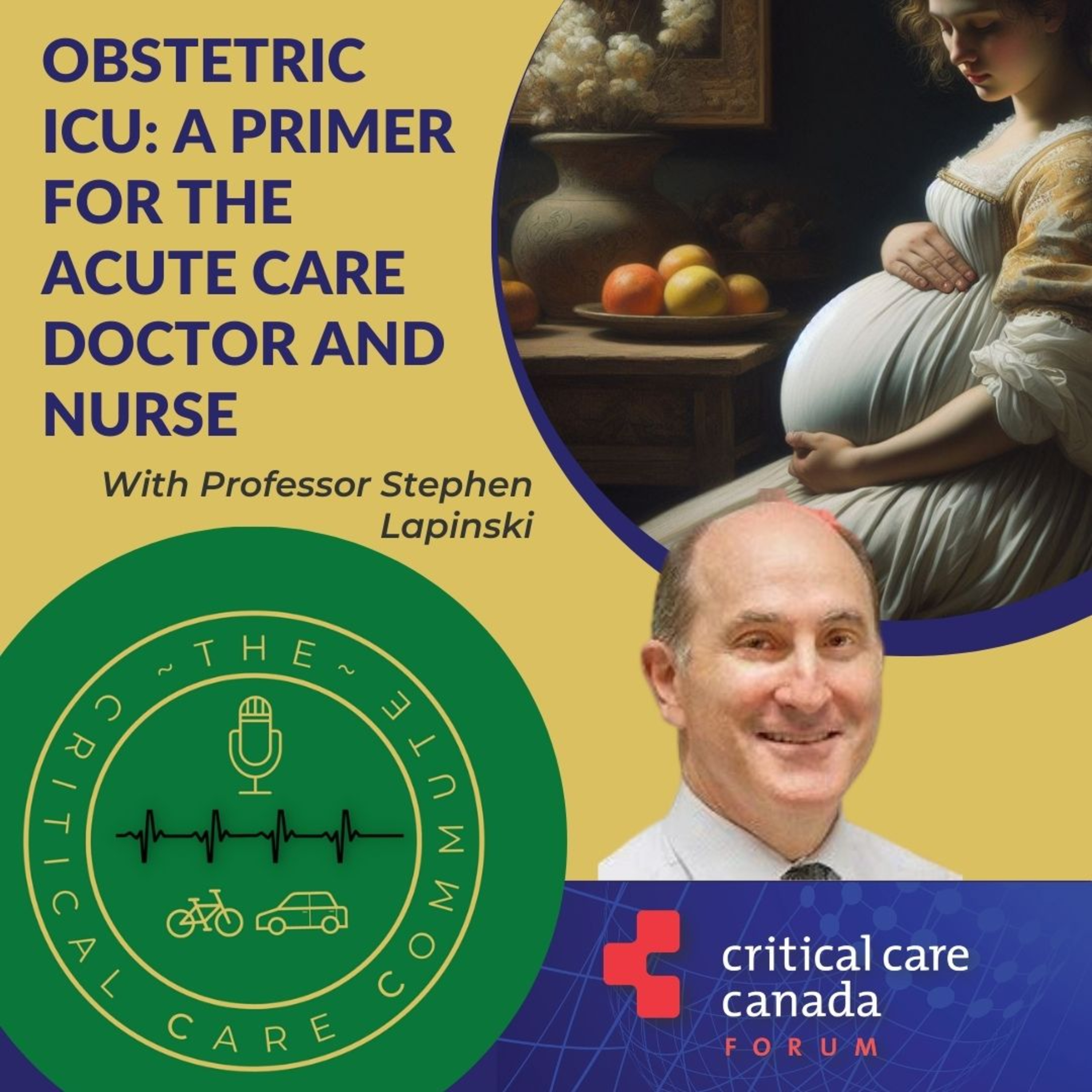 Obstetric ICU: A primer for the acute care doctor and nurse.