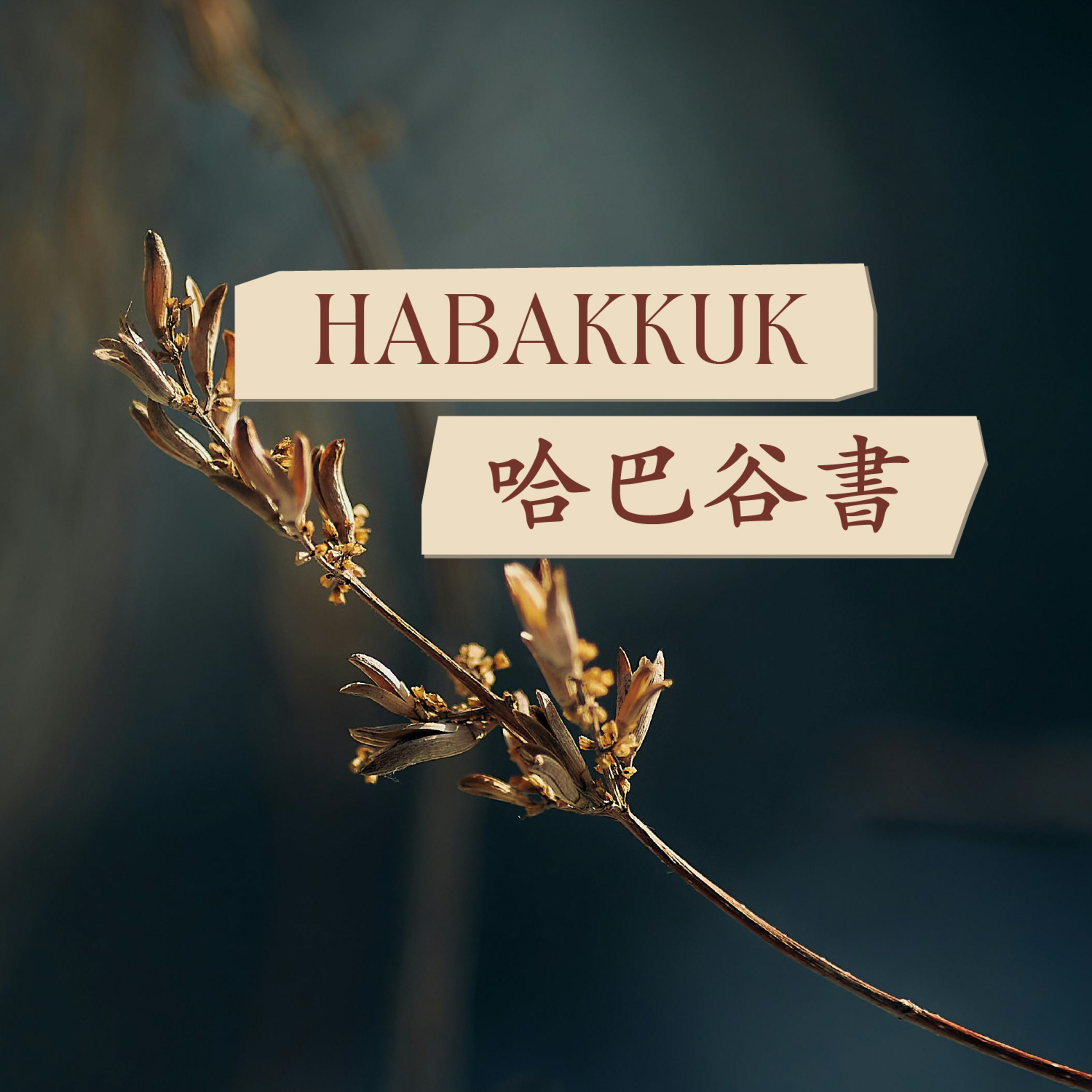 從摔跤到安息 - 蔡恩程牧師 - 哈巴谷書 - May 3, 2026 episode artwork