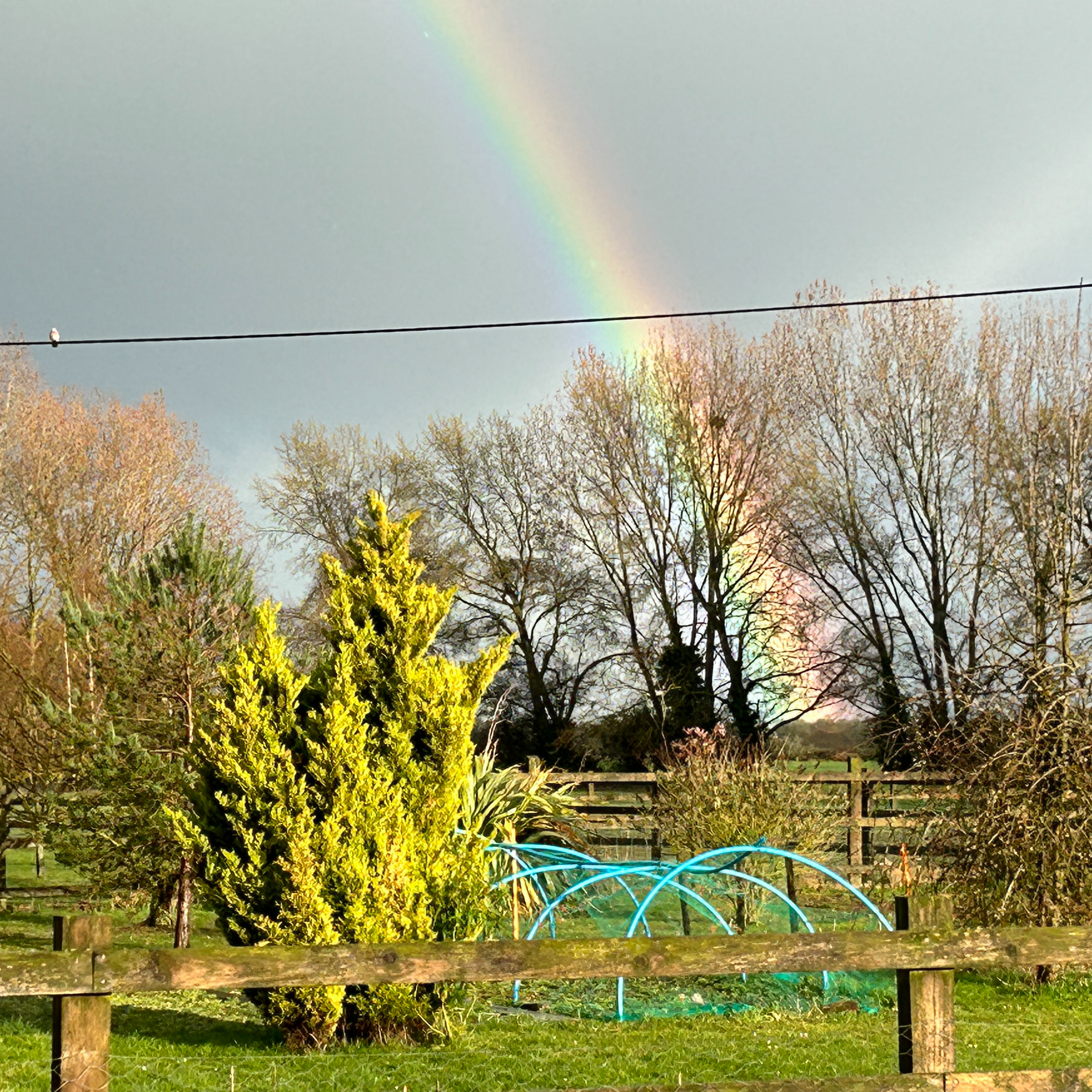 Episode 20 - The Waiting Game, Rain, Rain Go Away and New Neighbours