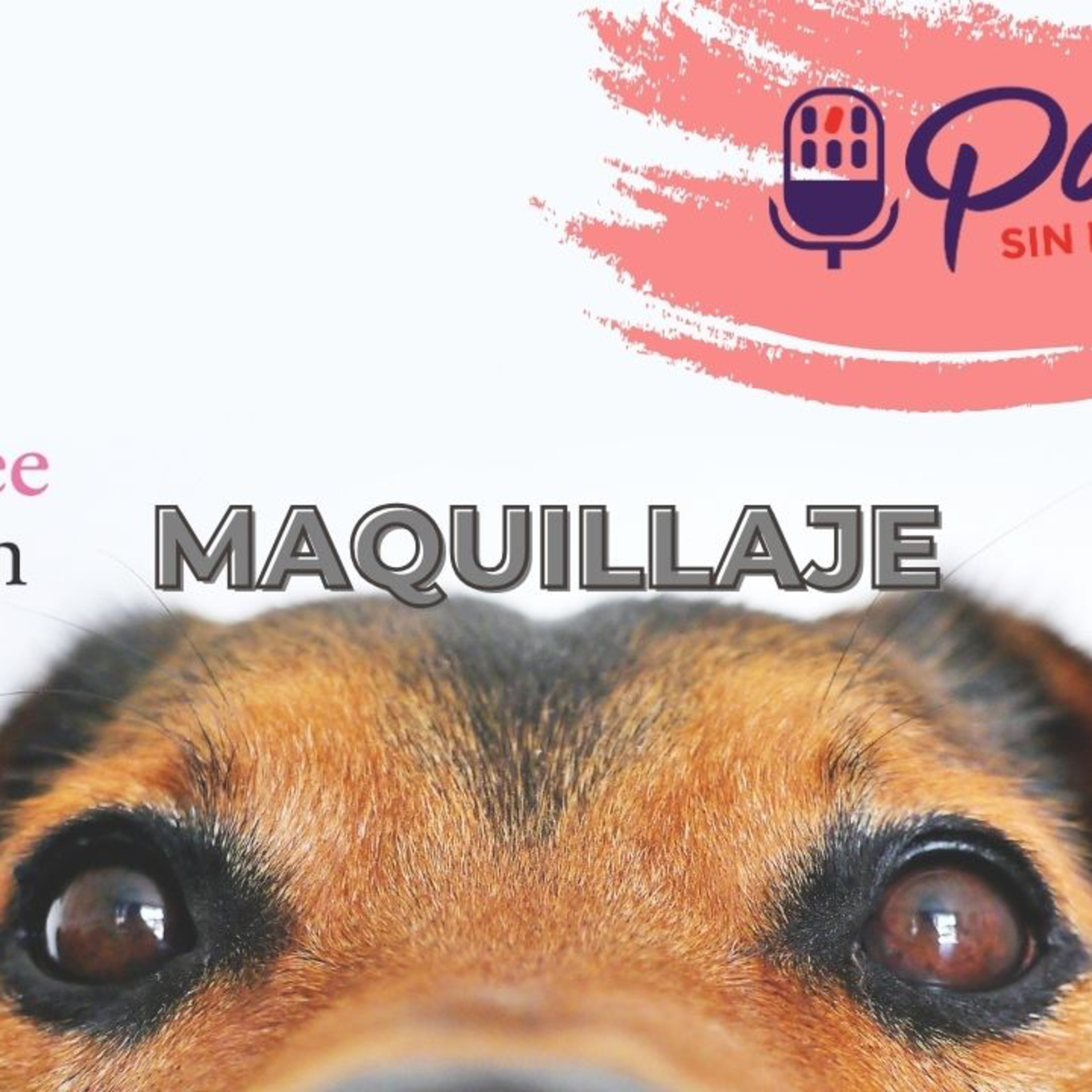 Portada de Pam Sin Reglas