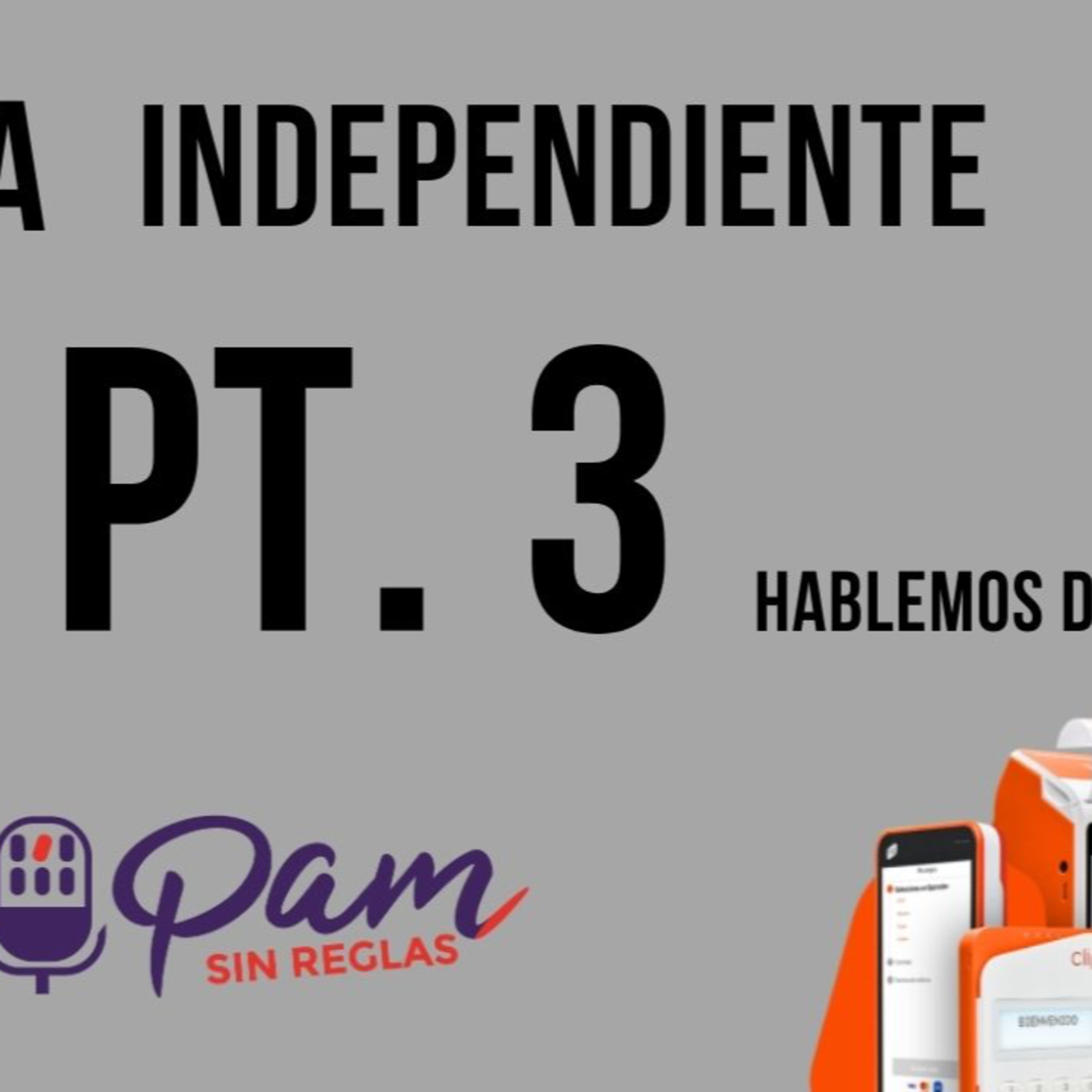 Portada de Pam Sin Reglas
